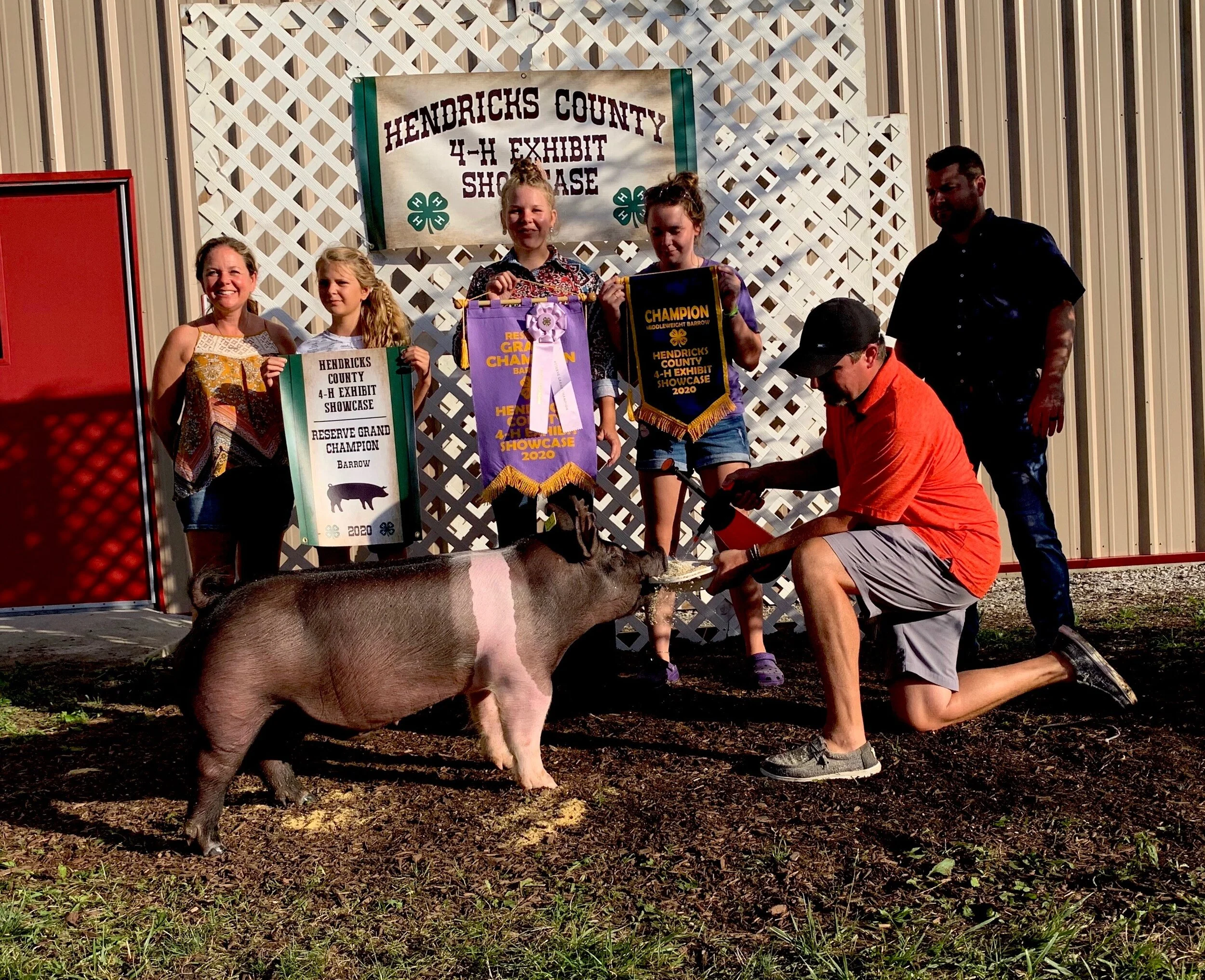 Reserve Grand Champion Barrow Hendricks County IN