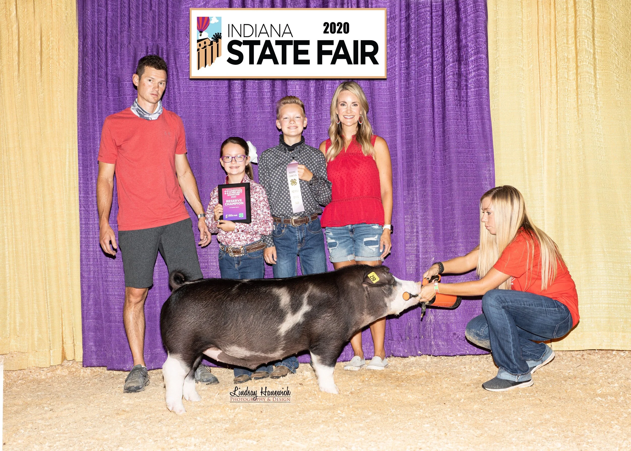 Reserve Champion Spot Barrow Indiana State Fair 