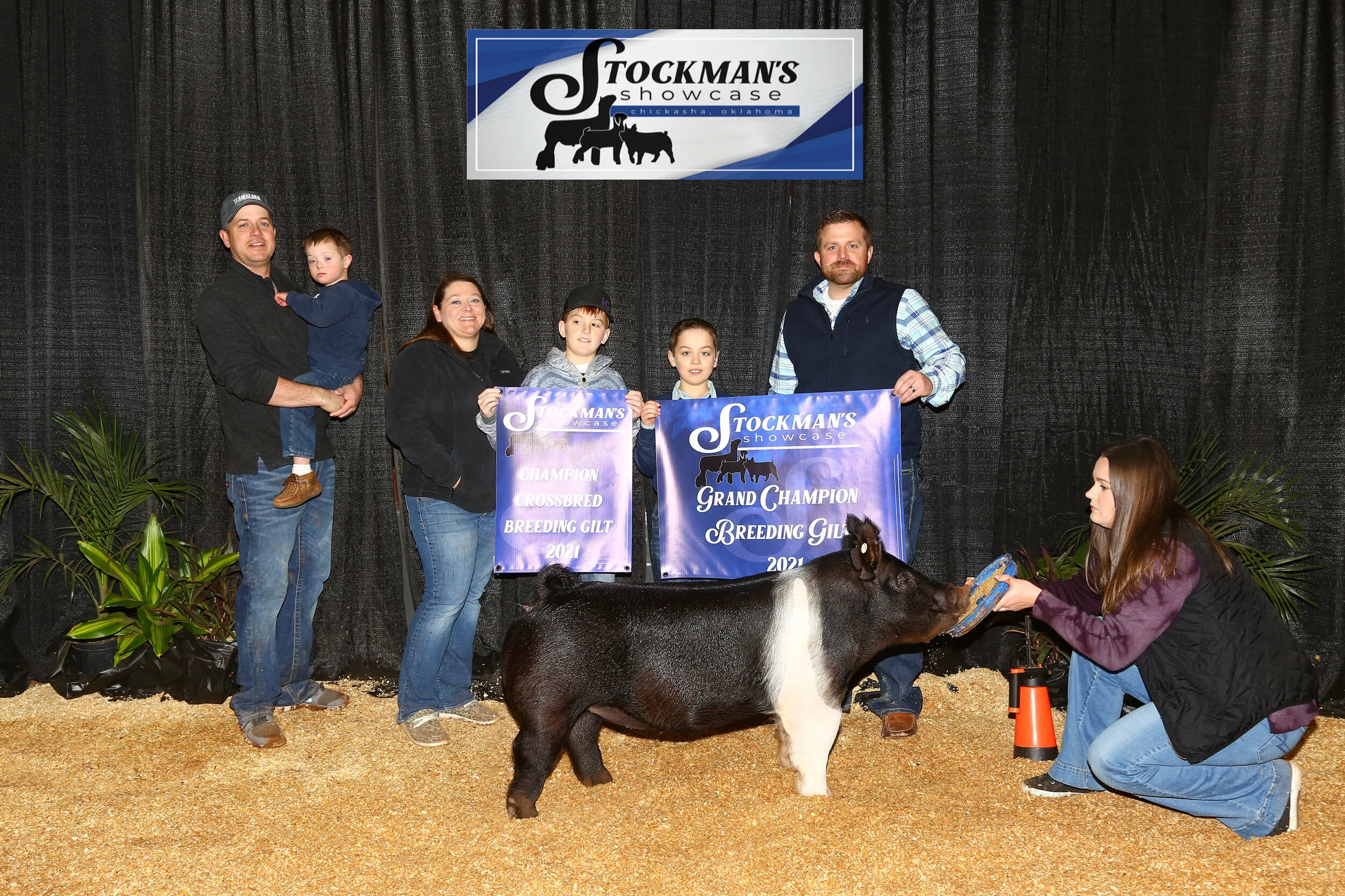 Grand Champion Gilt Stockmans Showcase