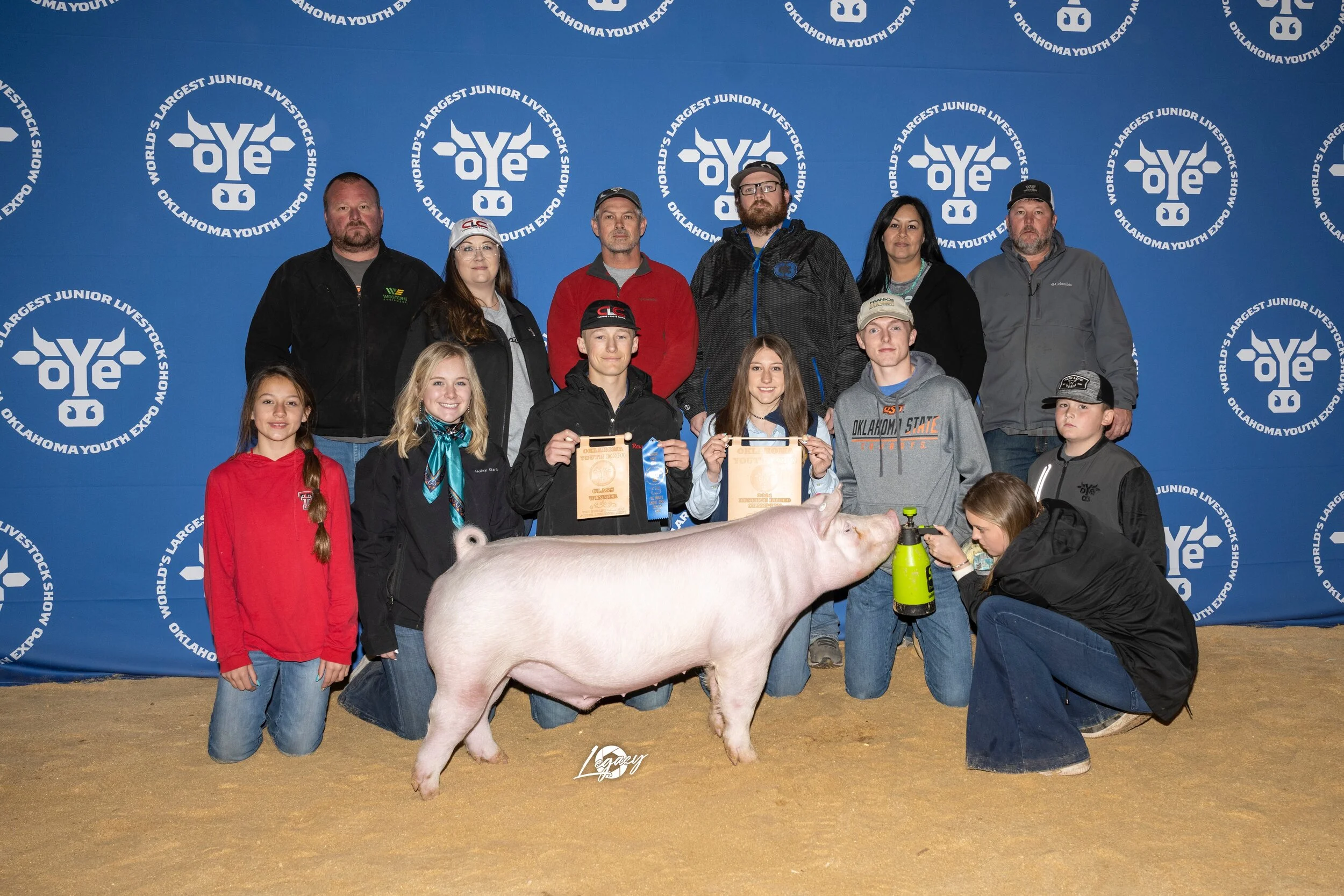 Reserve Champion Chester Barrow OYE