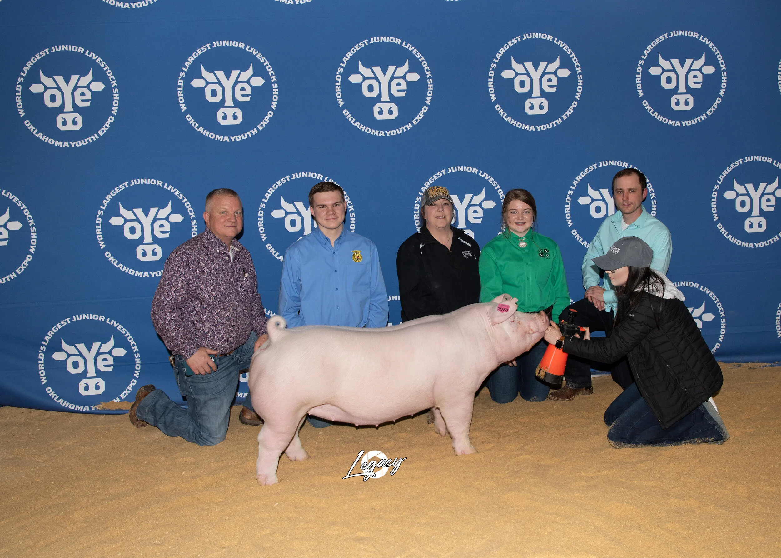 Third Overall Chester Gilt OYE