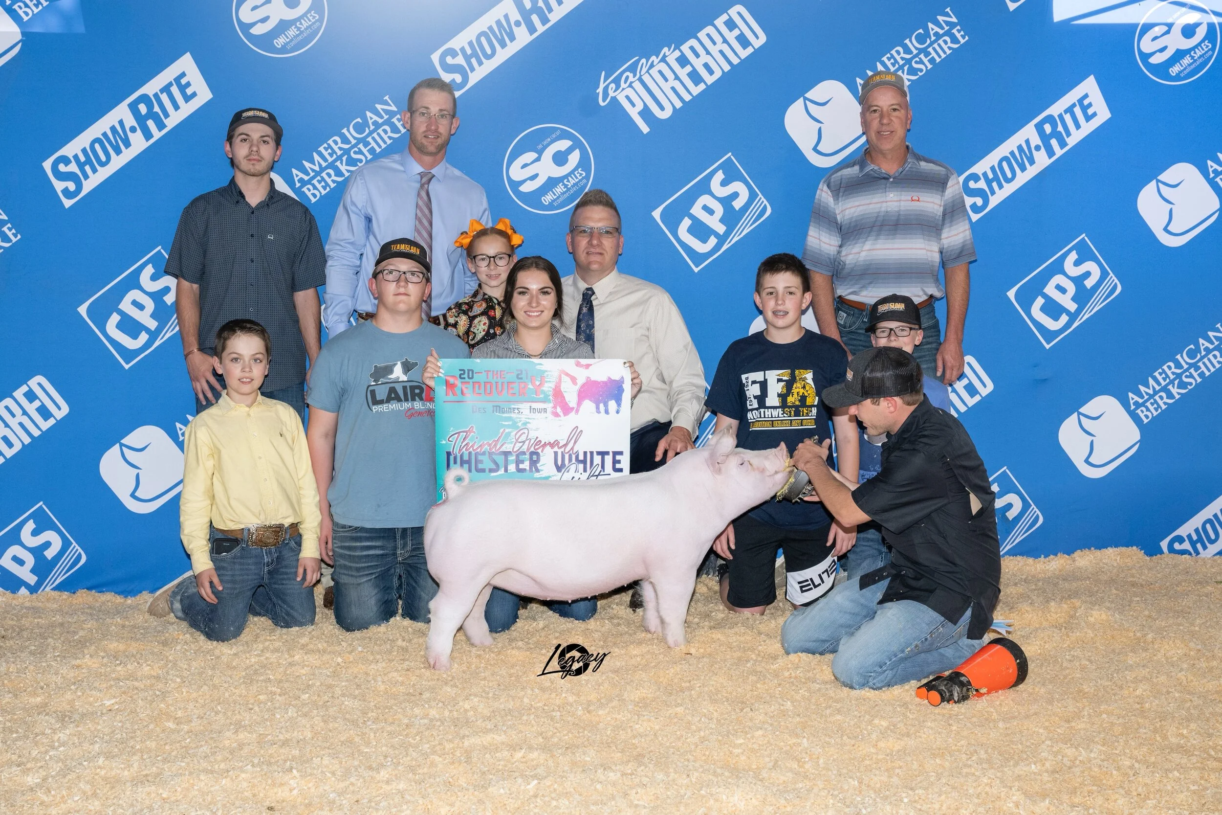 Third Overall Chester Gilt The Recovery