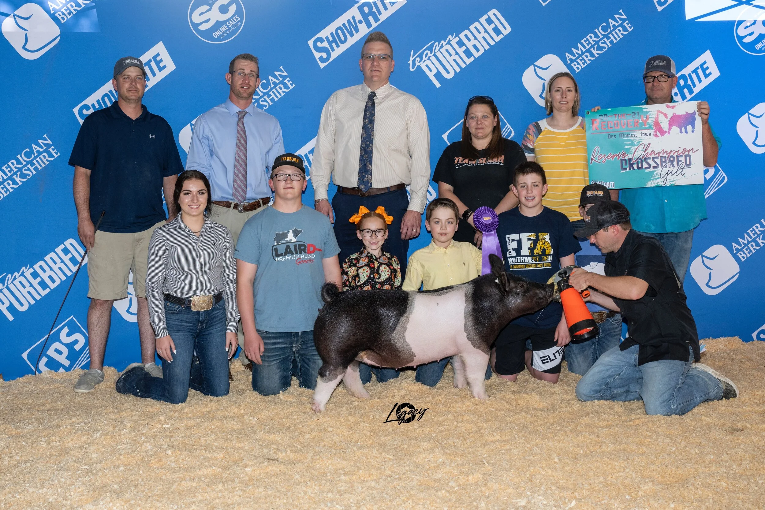 Reserve Champion Crossbred Gilt The Recovery
