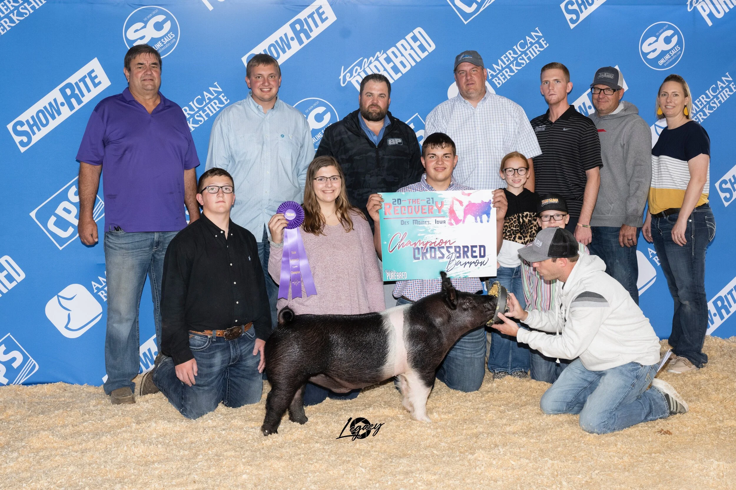 Champion Crossbred Barrow The Recovery