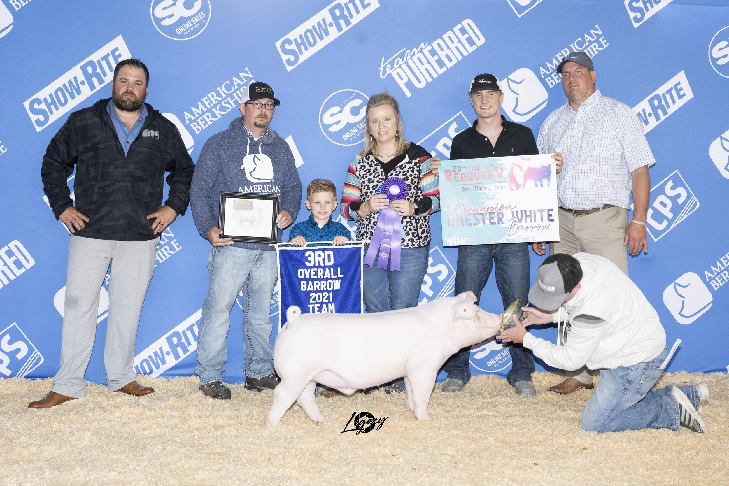 Third Overall Purebred Barrow Champion Chester The Recovery