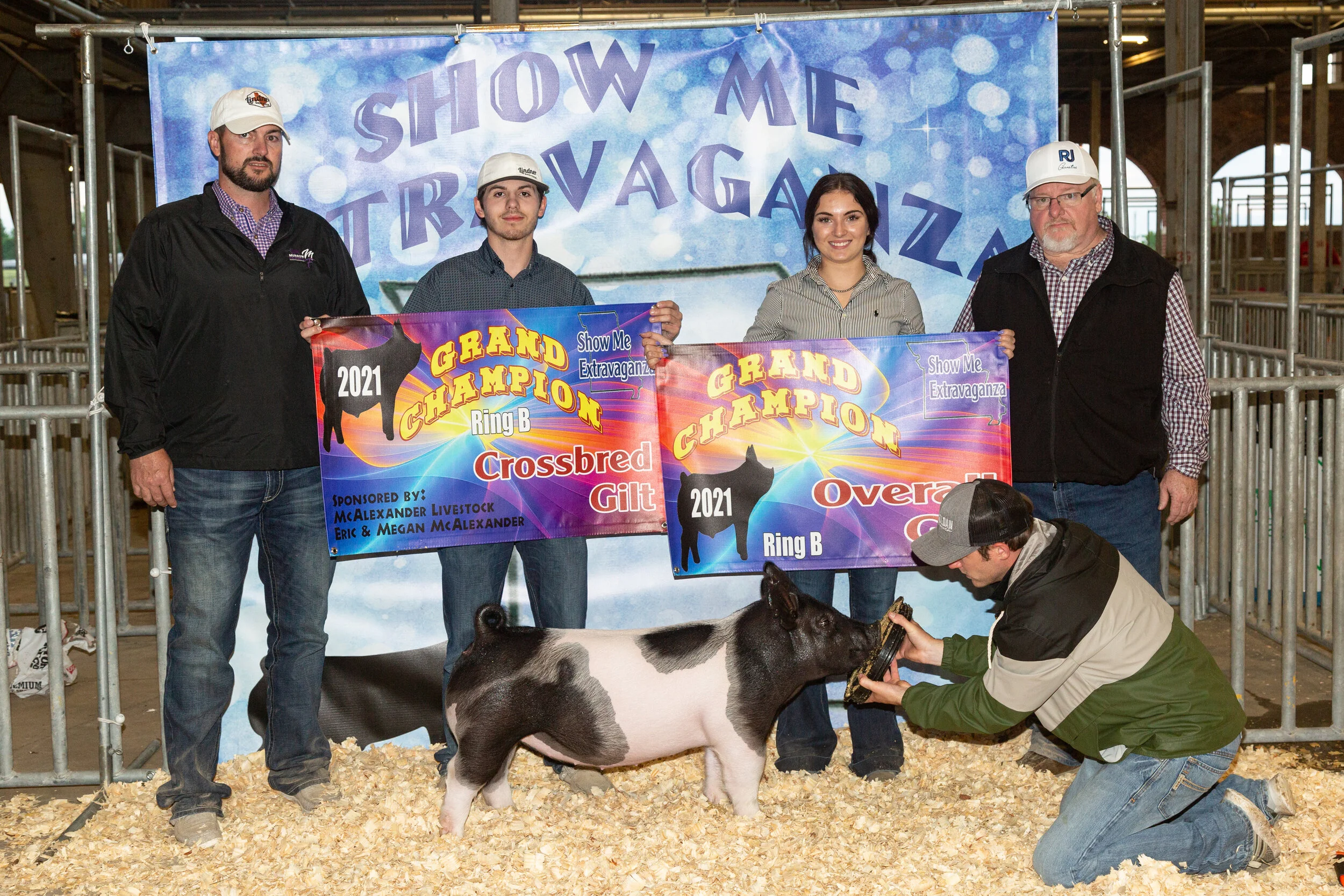 Grand Champion Gilt Ring A Show Me Extravaganza