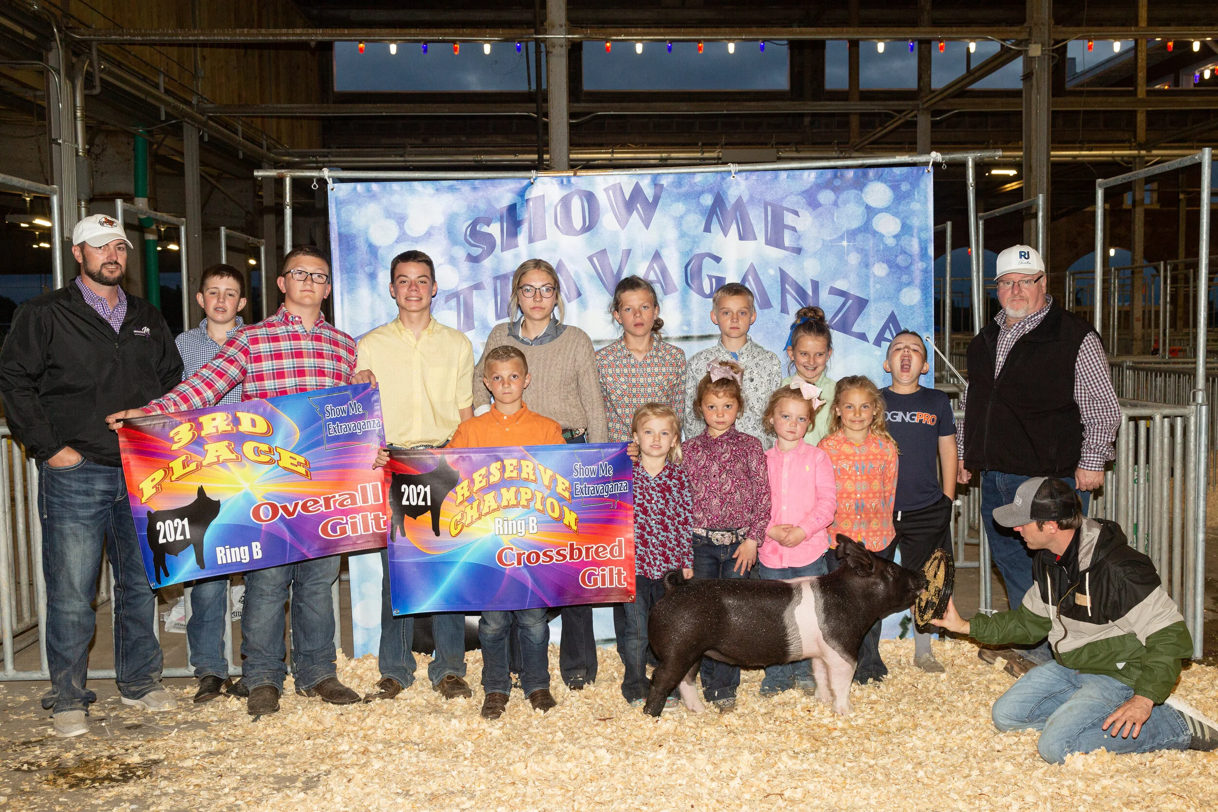 Reserve Grand Champion Gilt Ring B Show Me Extravaganza