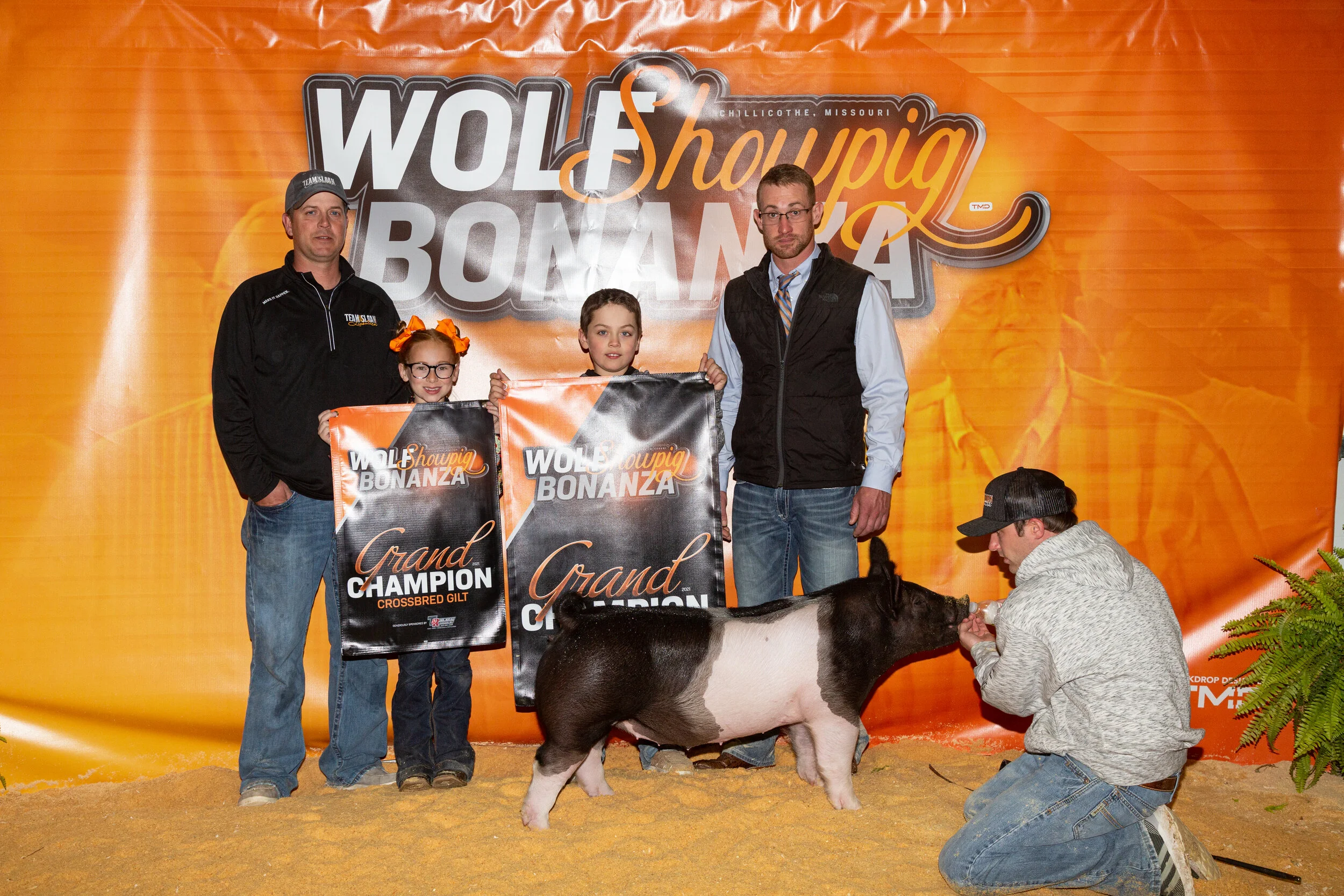 Grand Champion Gilt Wolf Showpig Bonanza