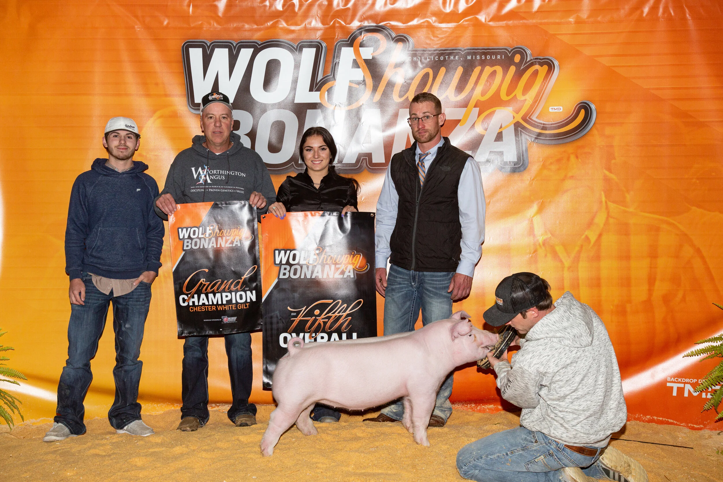 Fifth Overall Gilt Wolf Showpig Bonanza