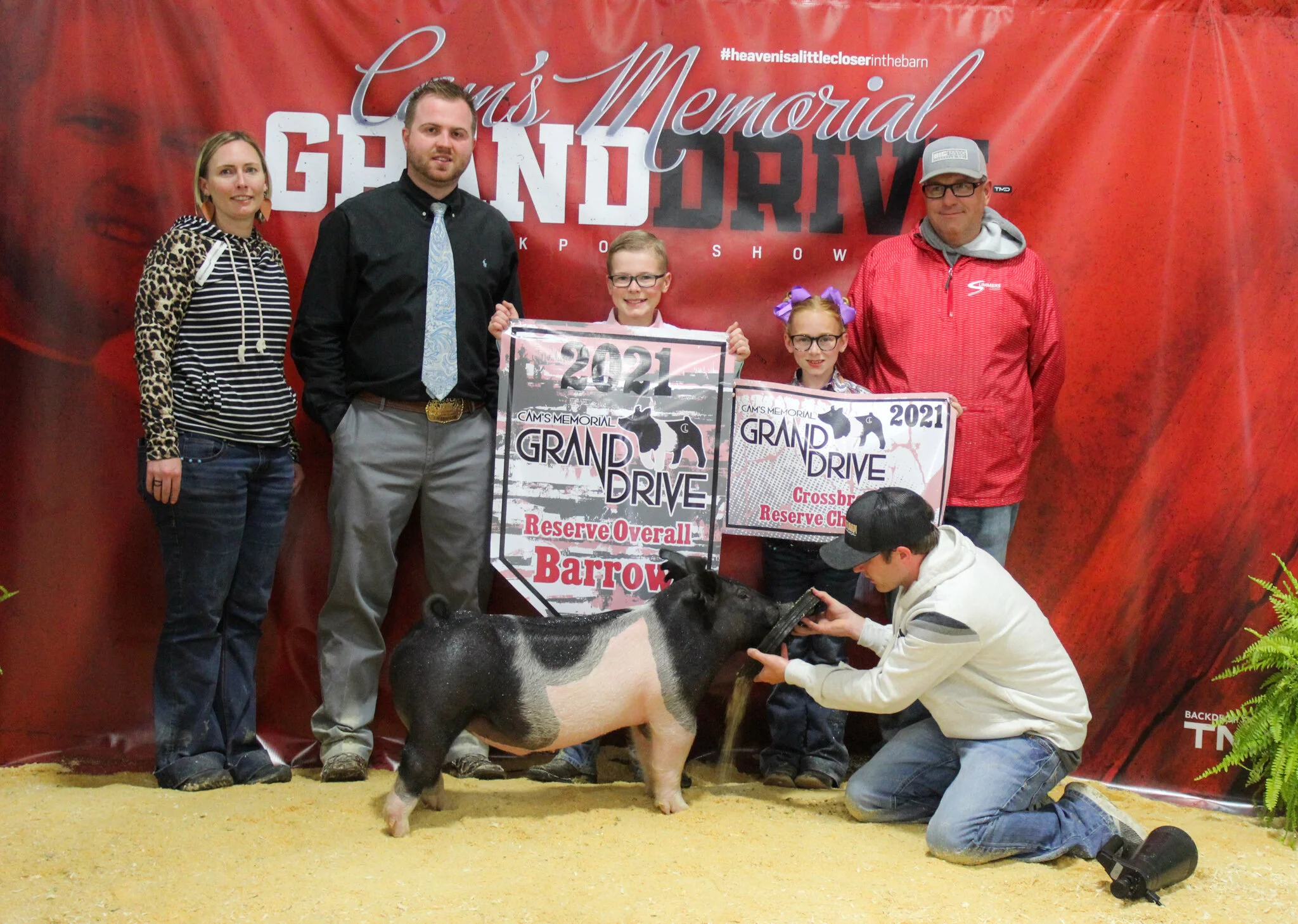 Reserve Grand Champion Barrow Cam's Memorial Grand Drive