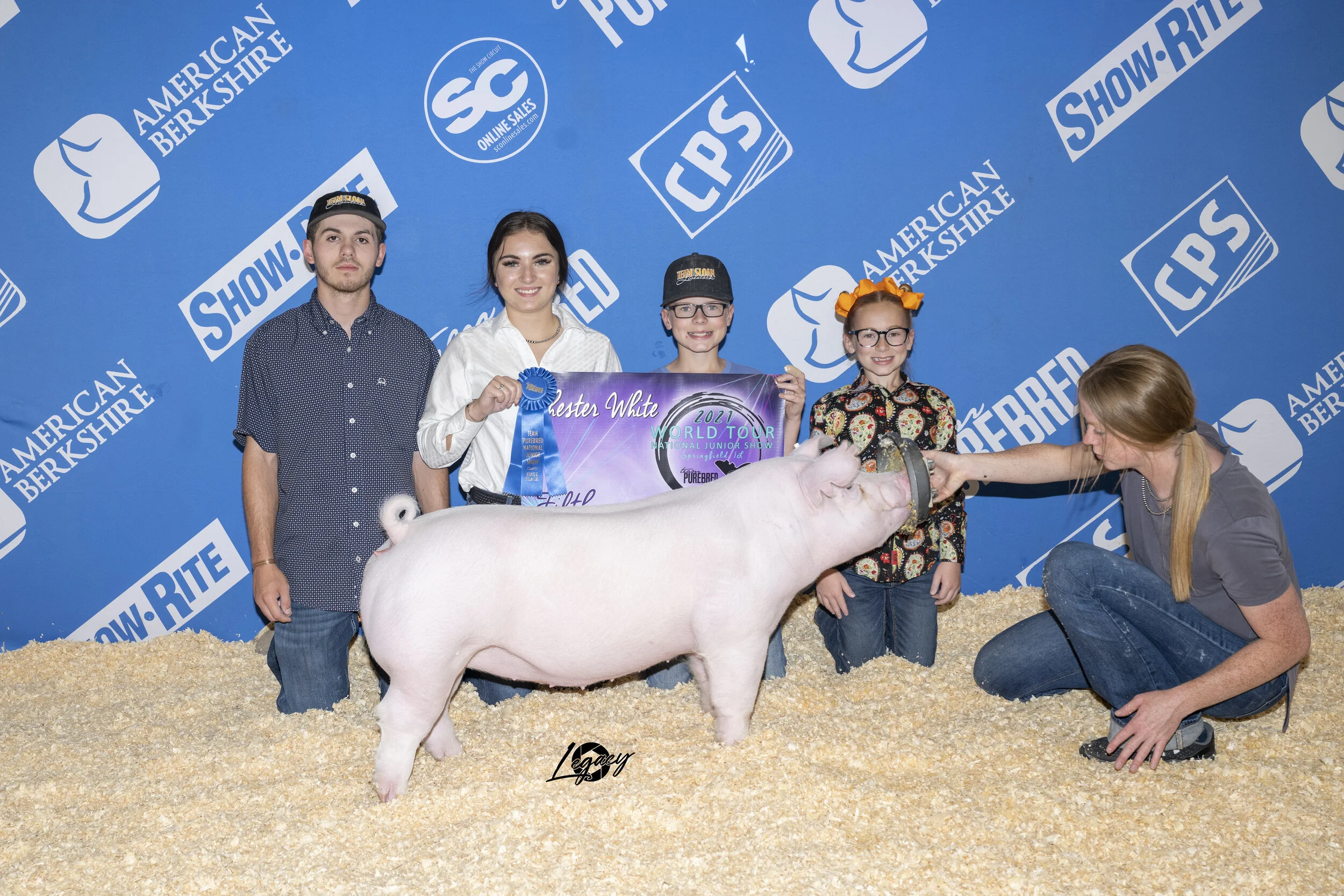 Fifth Overall Chester Gilt National Junior Show