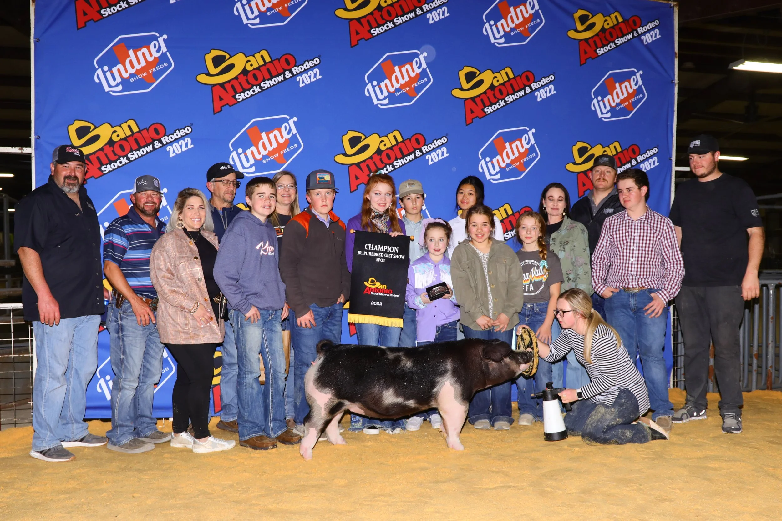 Champion Spot Gilt San Antonio