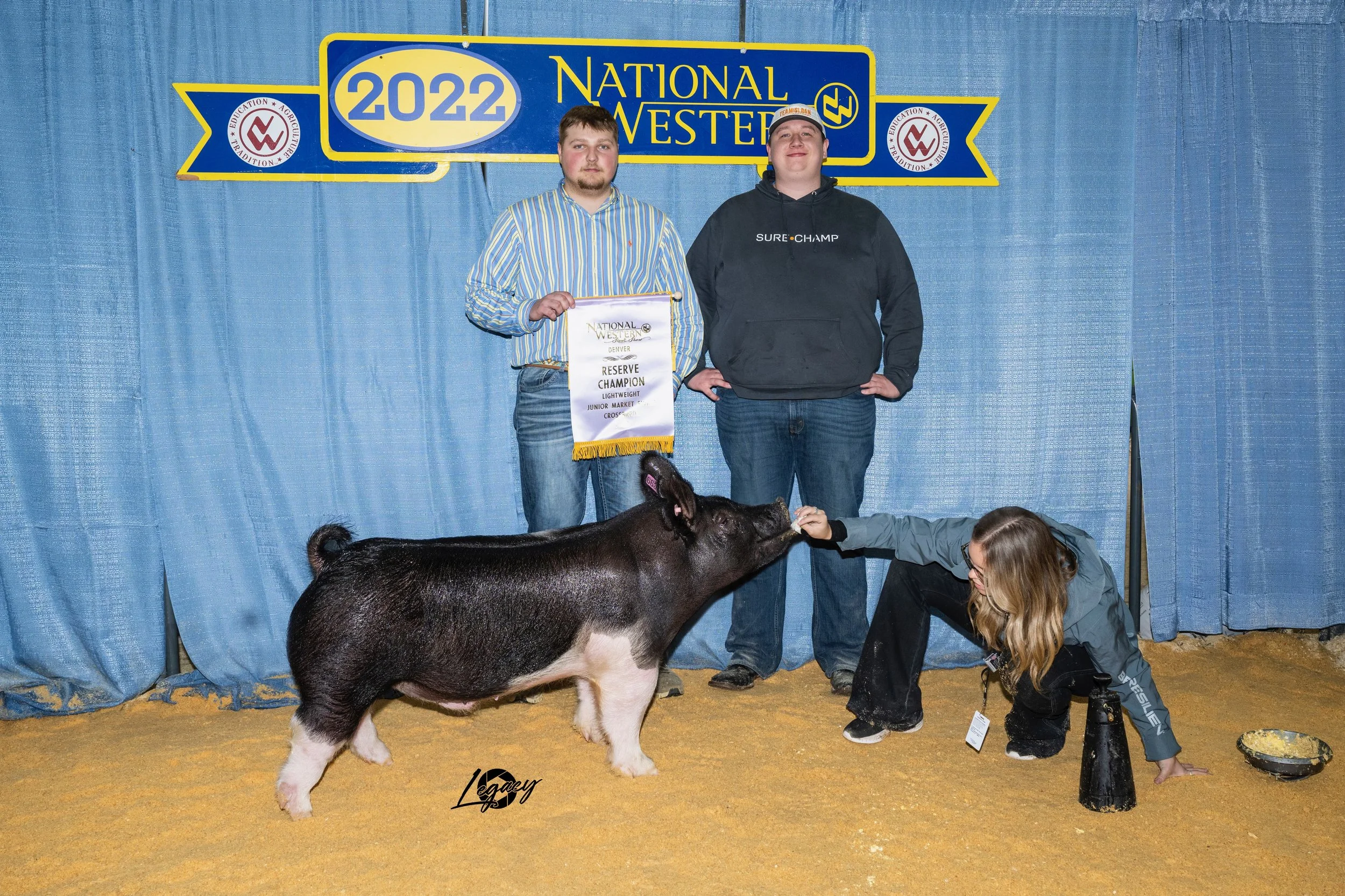 Reserve Champion LW Crossbred Barrow NWSS