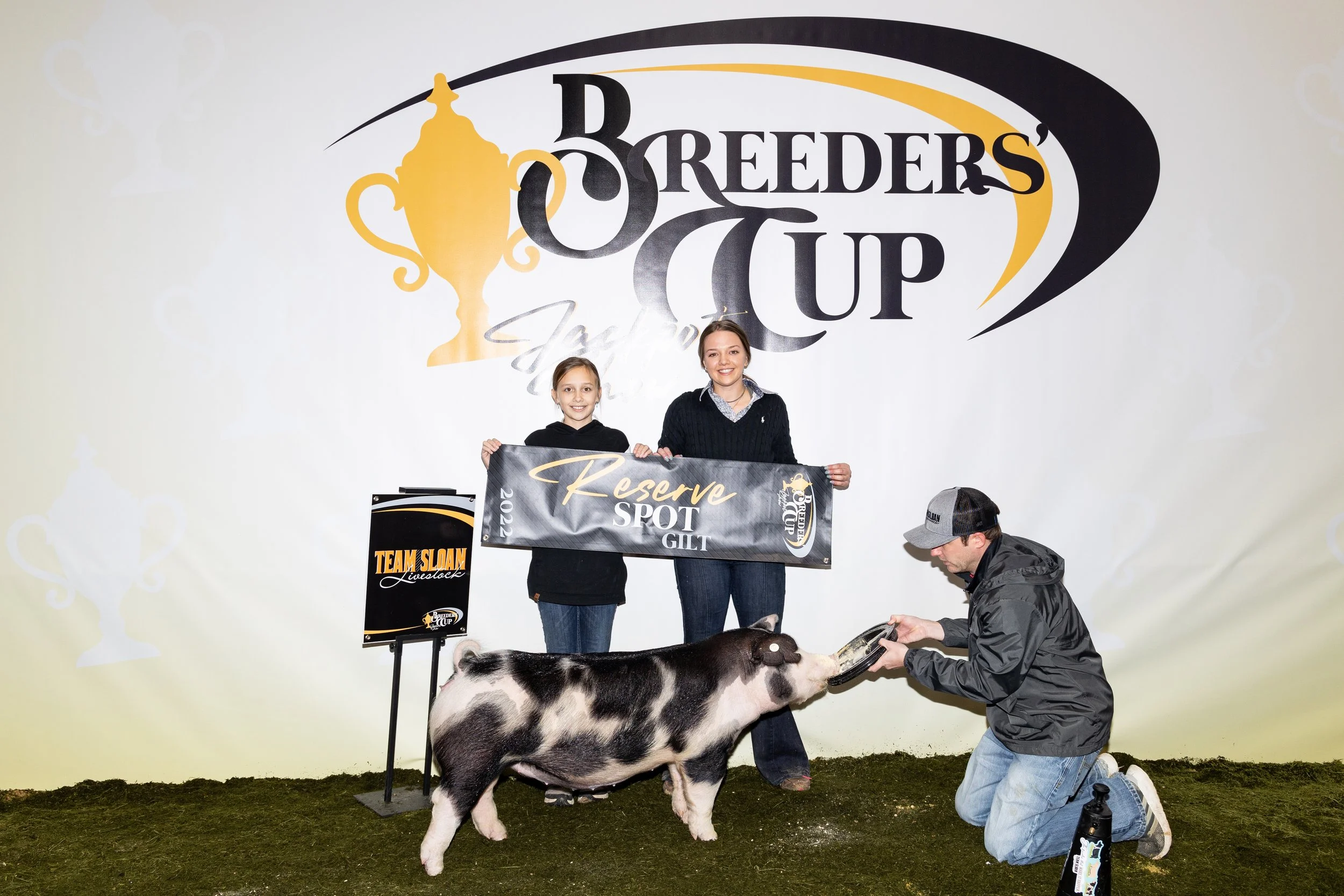 Reserve Champion Spot Gilt Breeders Cup