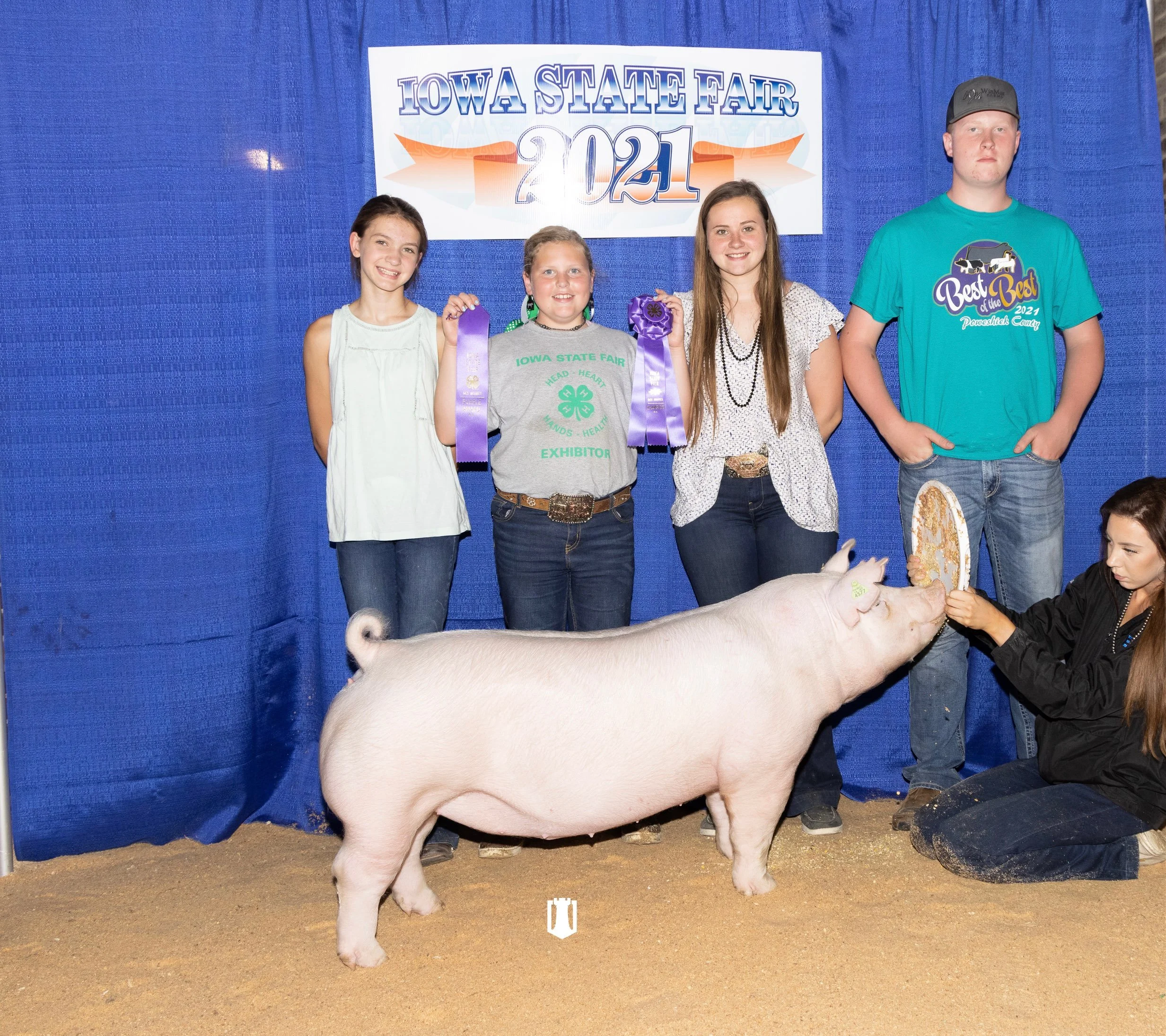 Champion 4H Chester Gilt Iowa State Fair