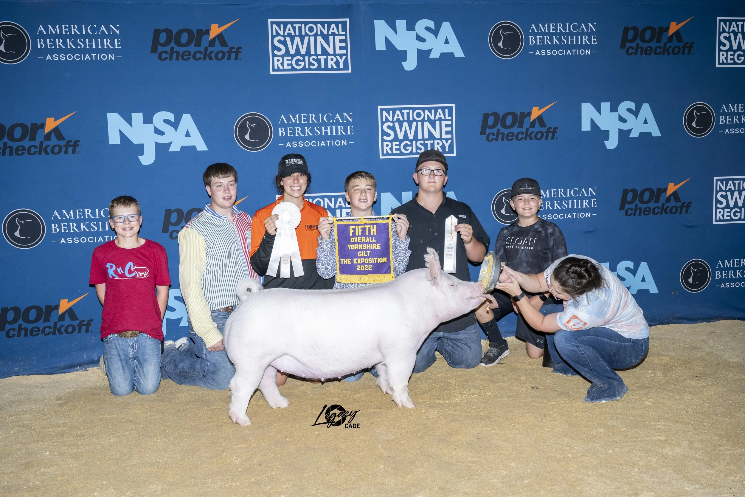 Fifth Overall York Gilt The Exposition