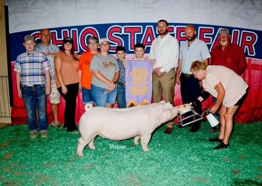 10th Overall Gilt Reserve Chester Ohio State Fair