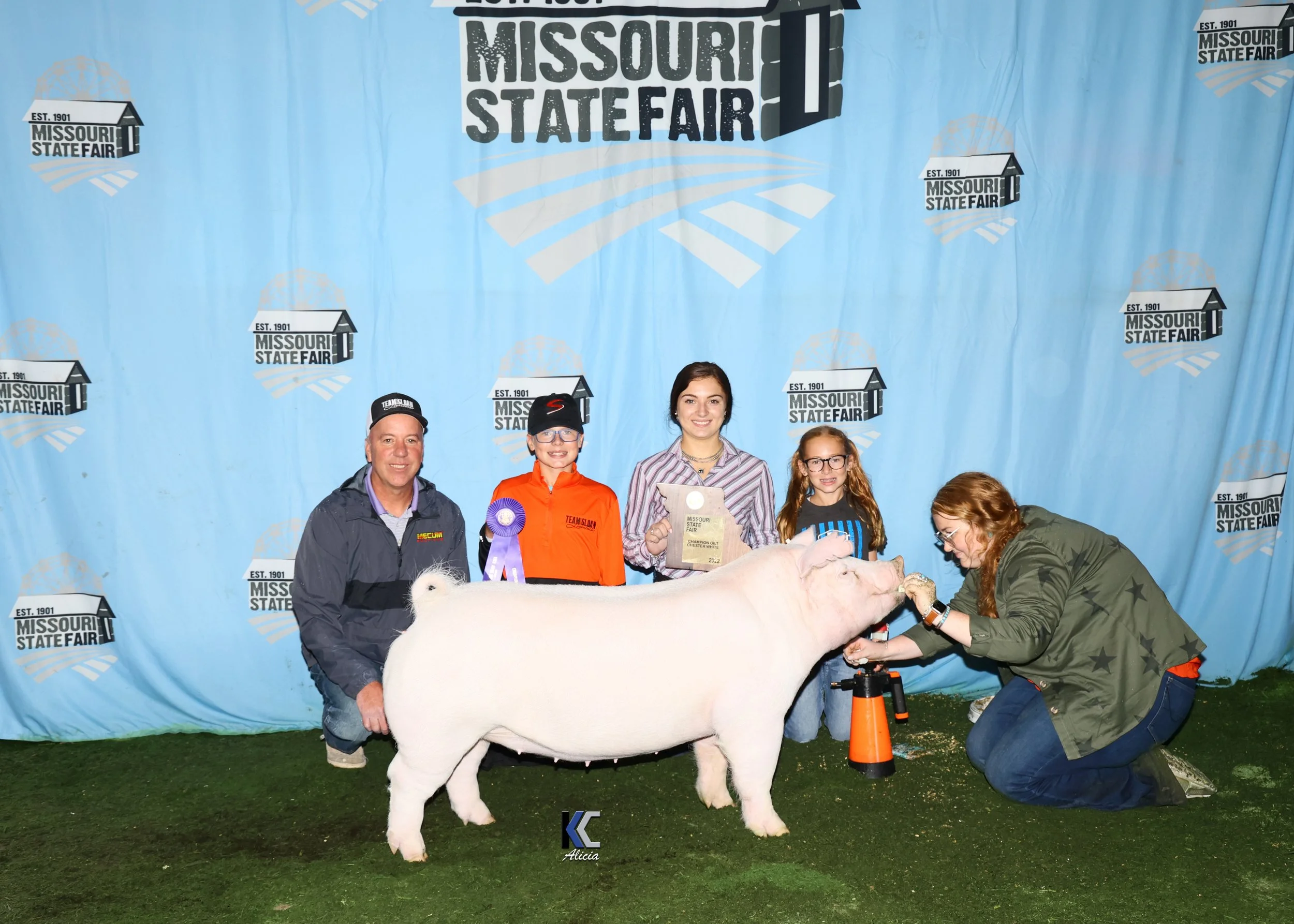 Champion Open Chester Gilt MOSF