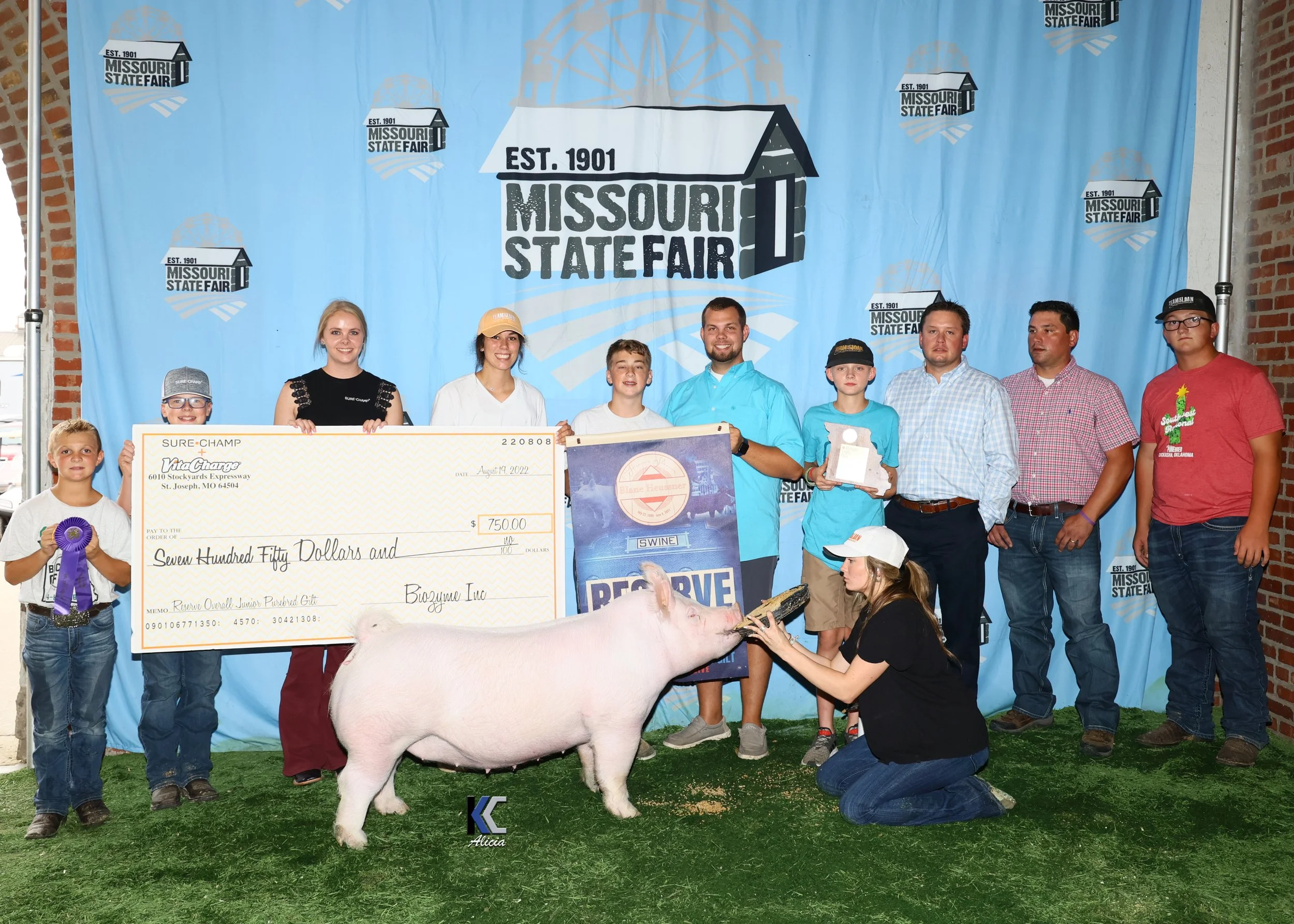 Reserve Grand Purebred Gilt Champion York MOSF