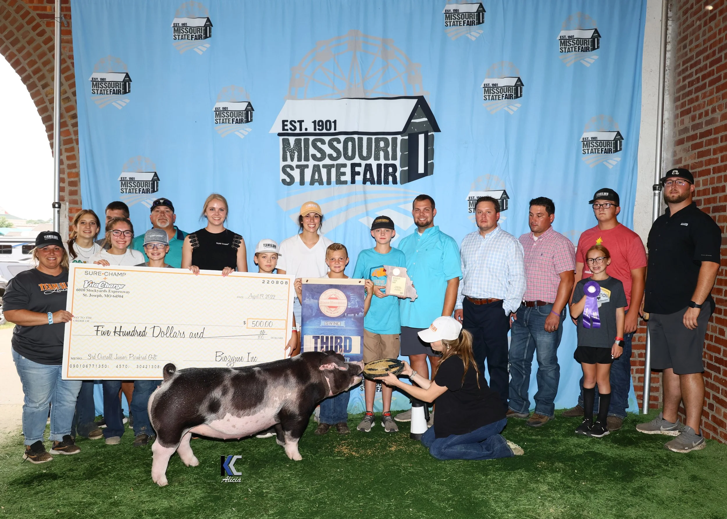 3rd Overall Purebred Gilt Champion Spot MOSF