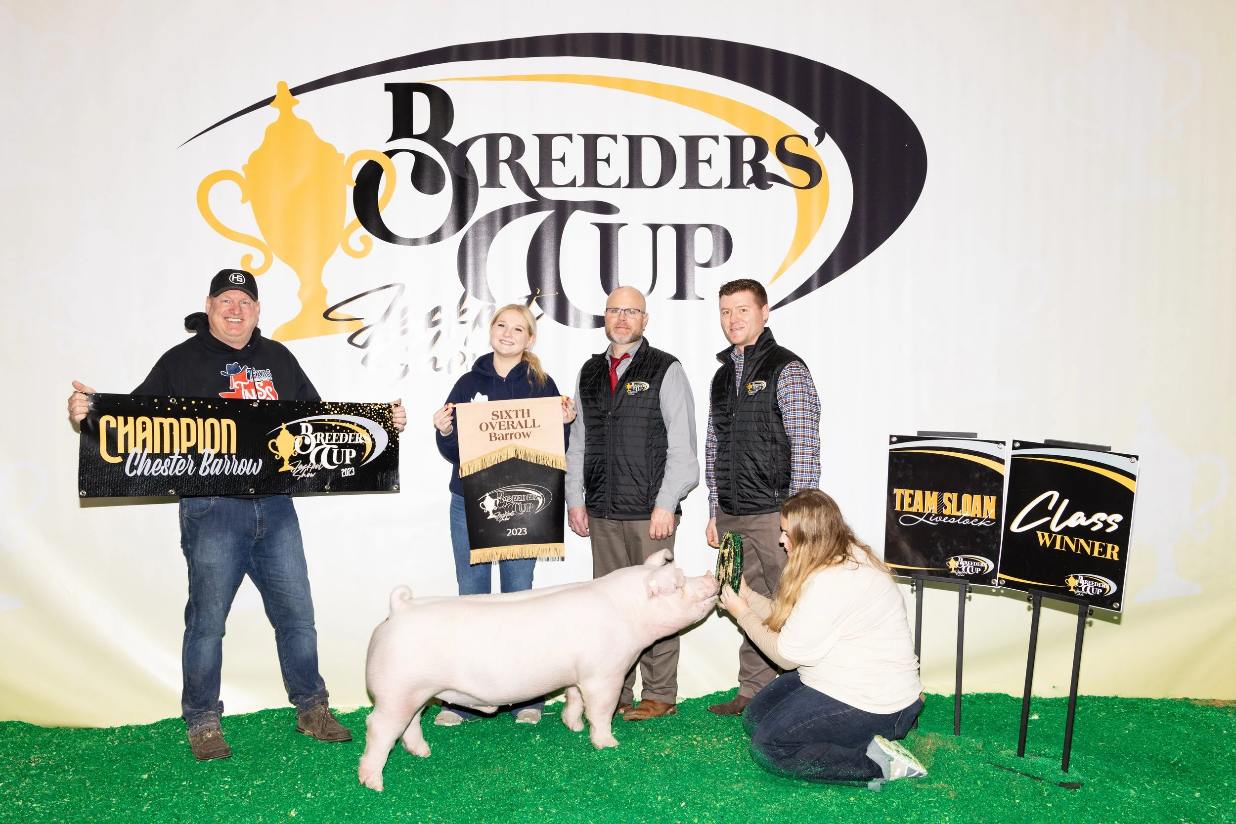 Sixth Overall Barrow Champion Chester Breeders' Cup