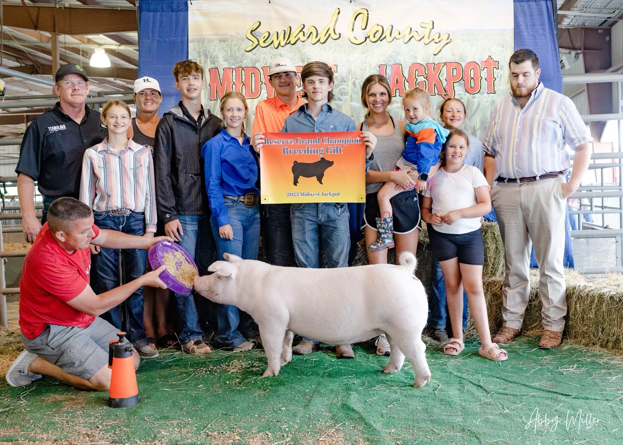 Reserve Grand Champion Gilt Champion Purebred Seward County Midwest Jackpot