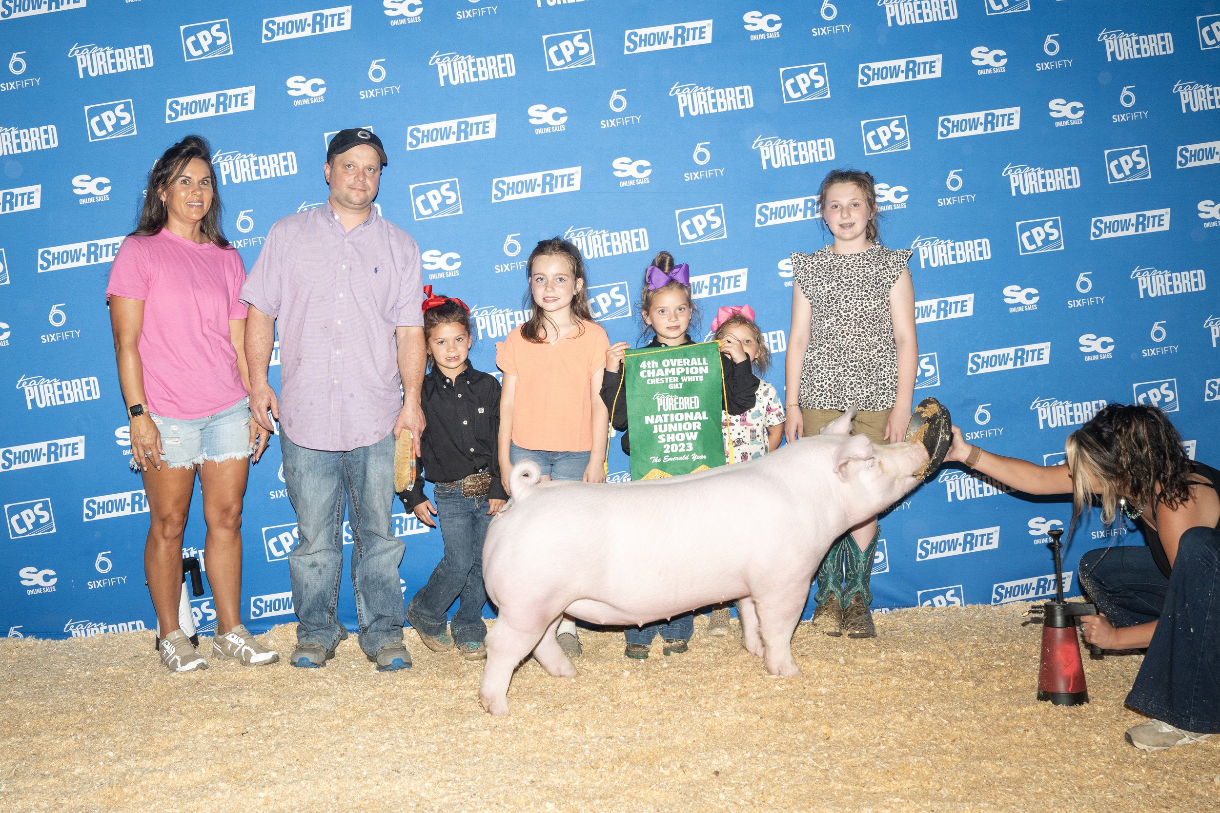 Fourth Overall Chester Gilt Team Purebred