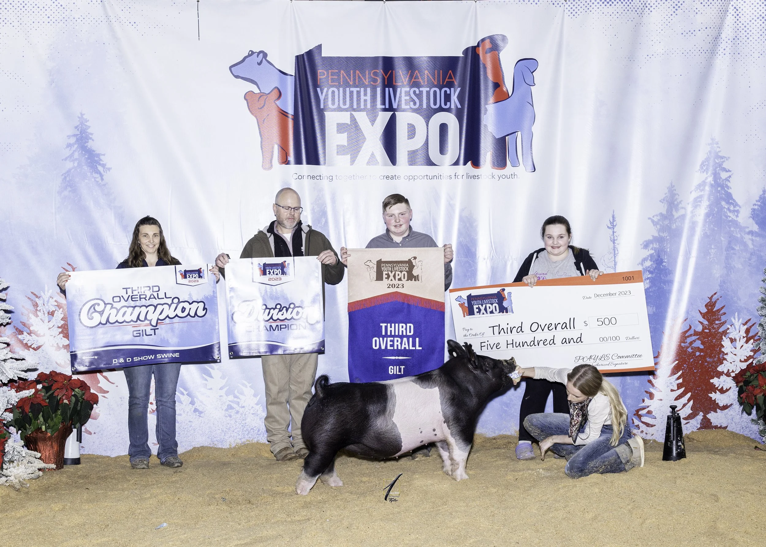 Third Overall Gilt PAYLE
