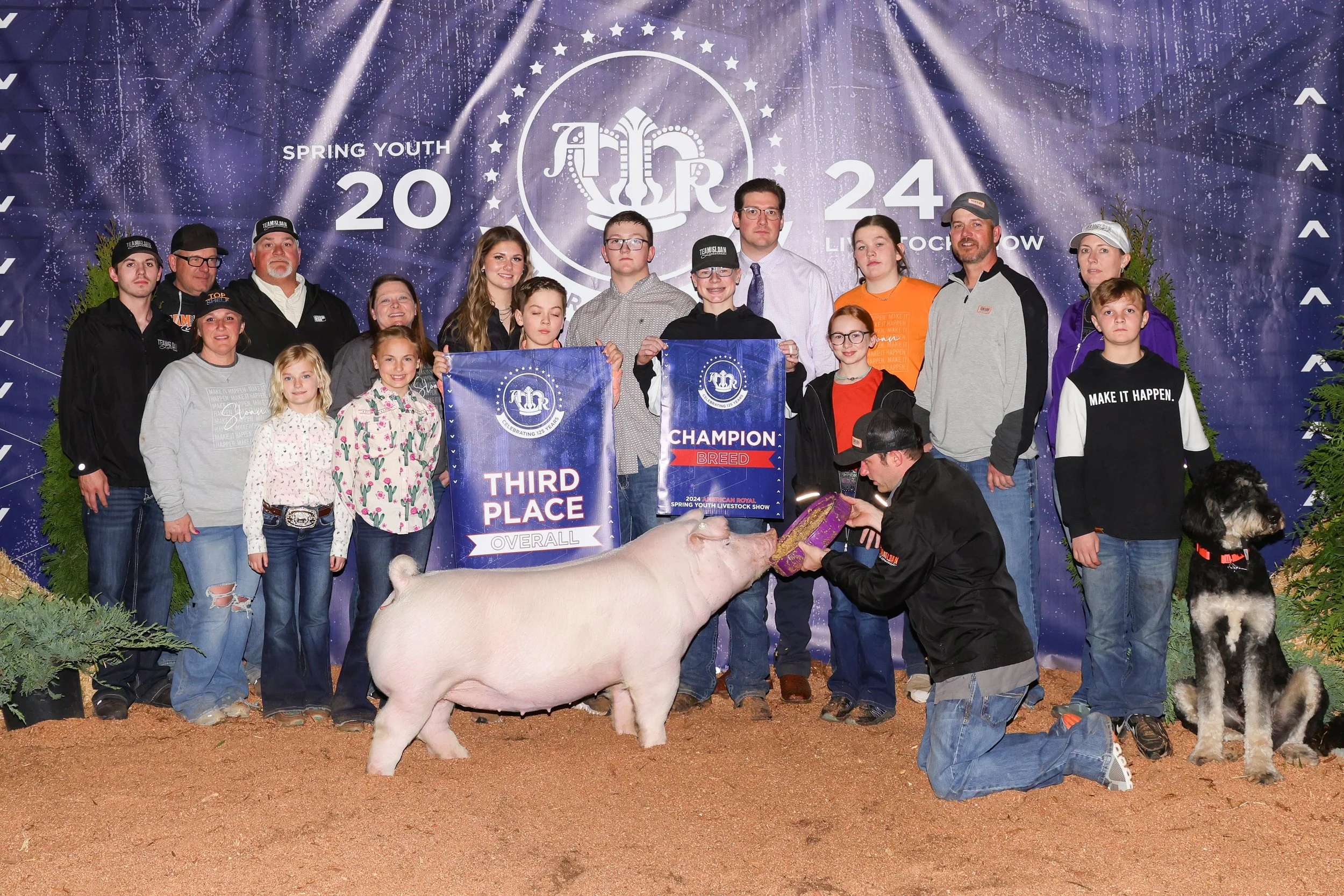 Third Overall Gilt American Royal