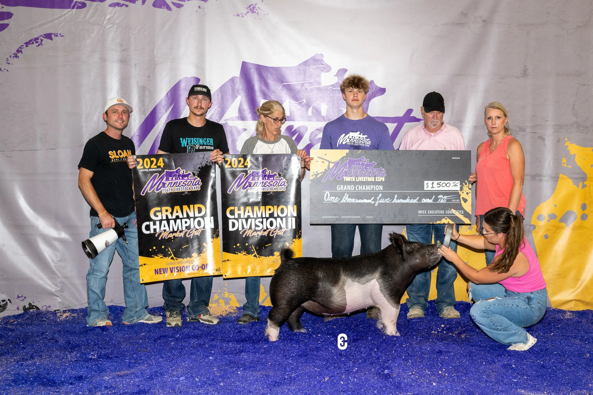 Champion Market Gilt - Minnesota Youth Expo