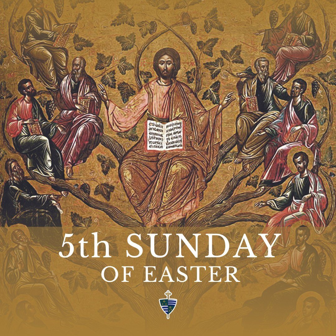 Join us for Holy Mass this weekend as we celebrate the Fifth Sunday of Easter.

Mass Times:
Sunday 8:30 am, 11:15 am, 1:00 pm (en espa&ntilde;ol)