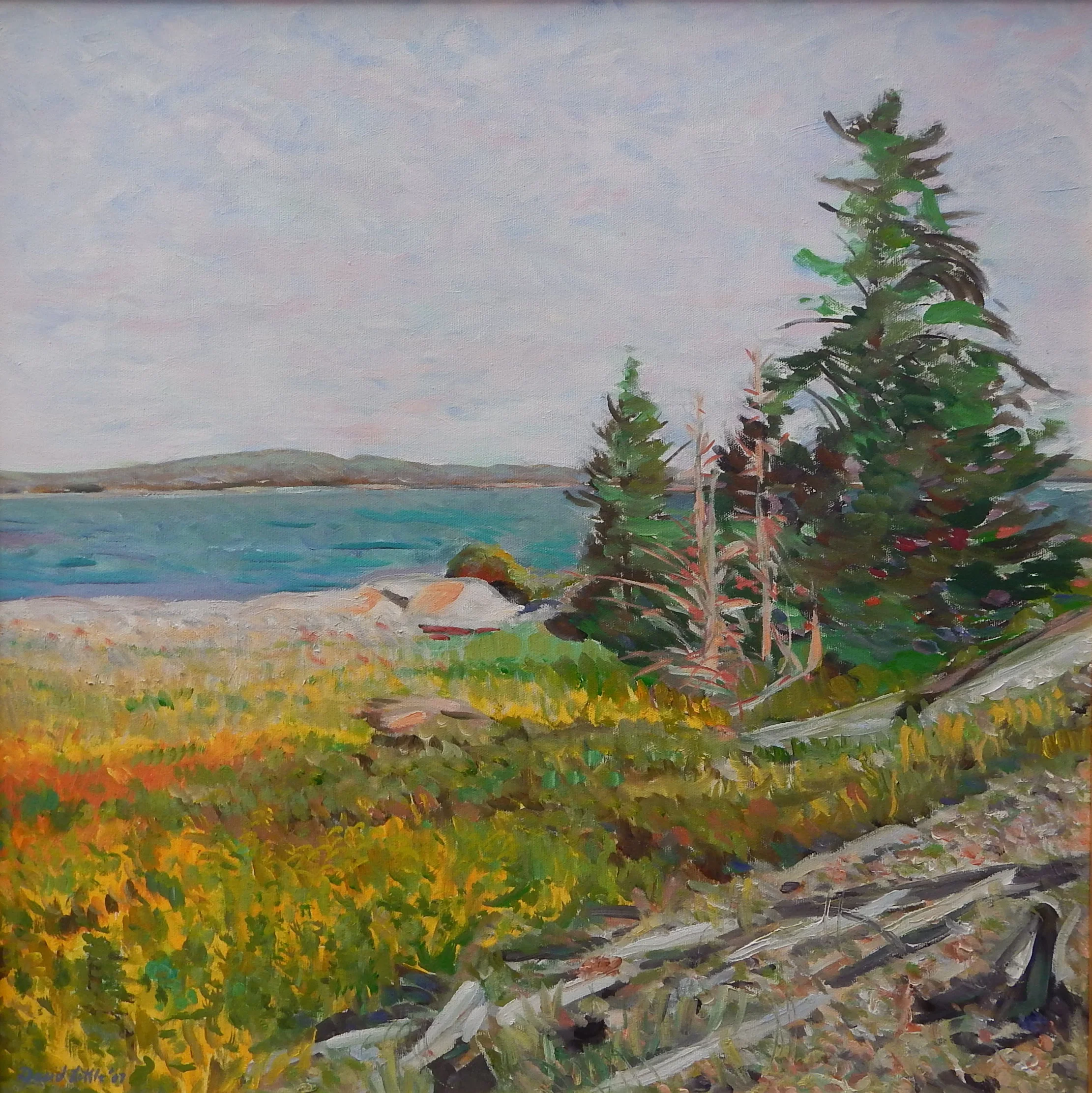  Island Meadow, Inner Bar Island (Corea), oil on canvas, 24 x 24 inches 