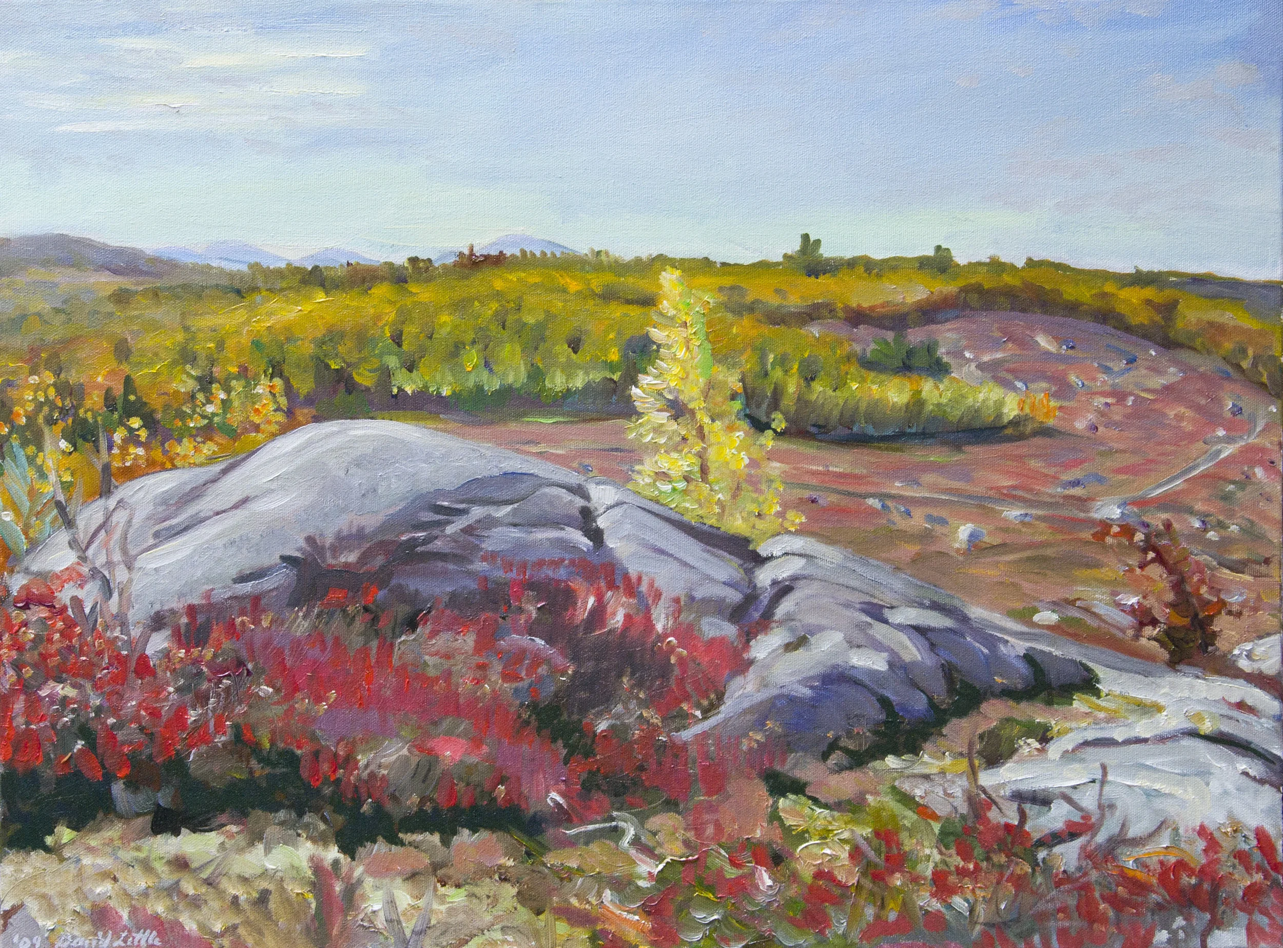  Blueberry Barrens, Donnell Pond (Maine Public Reserve Land), oil on canvas, 18 x 24 inches (SOLD) 
