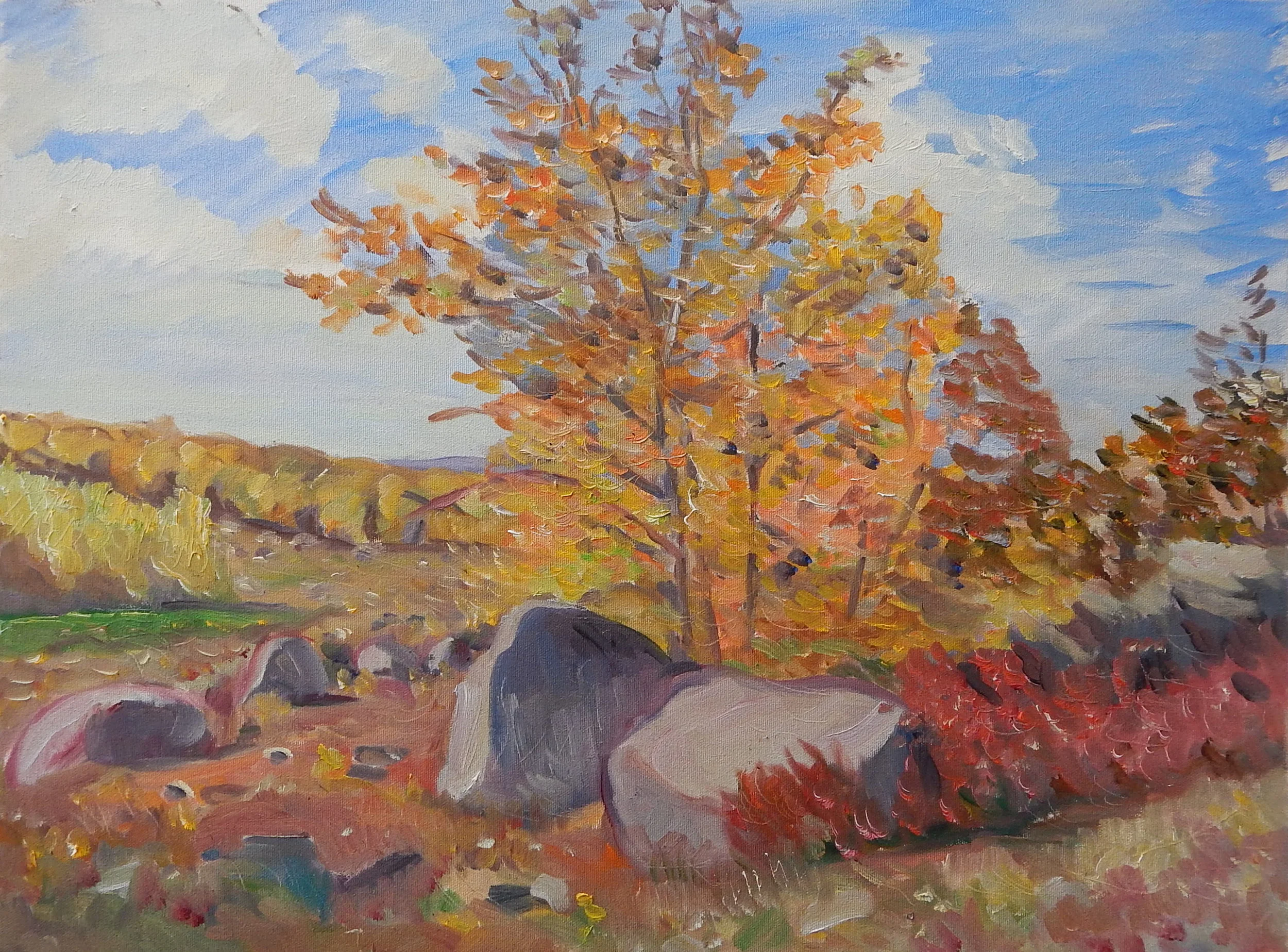  Blueberry Fields, Donnell Pond (MPRL), oil on canvas, 18 x 24 inches     