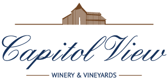 capitalview.png