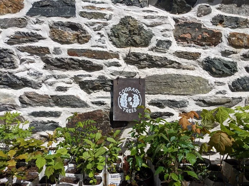 corrary_tree_nursery_sign_200823.jpg