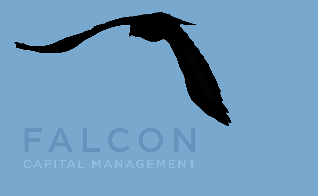 FALCON Capt. Invests2.png