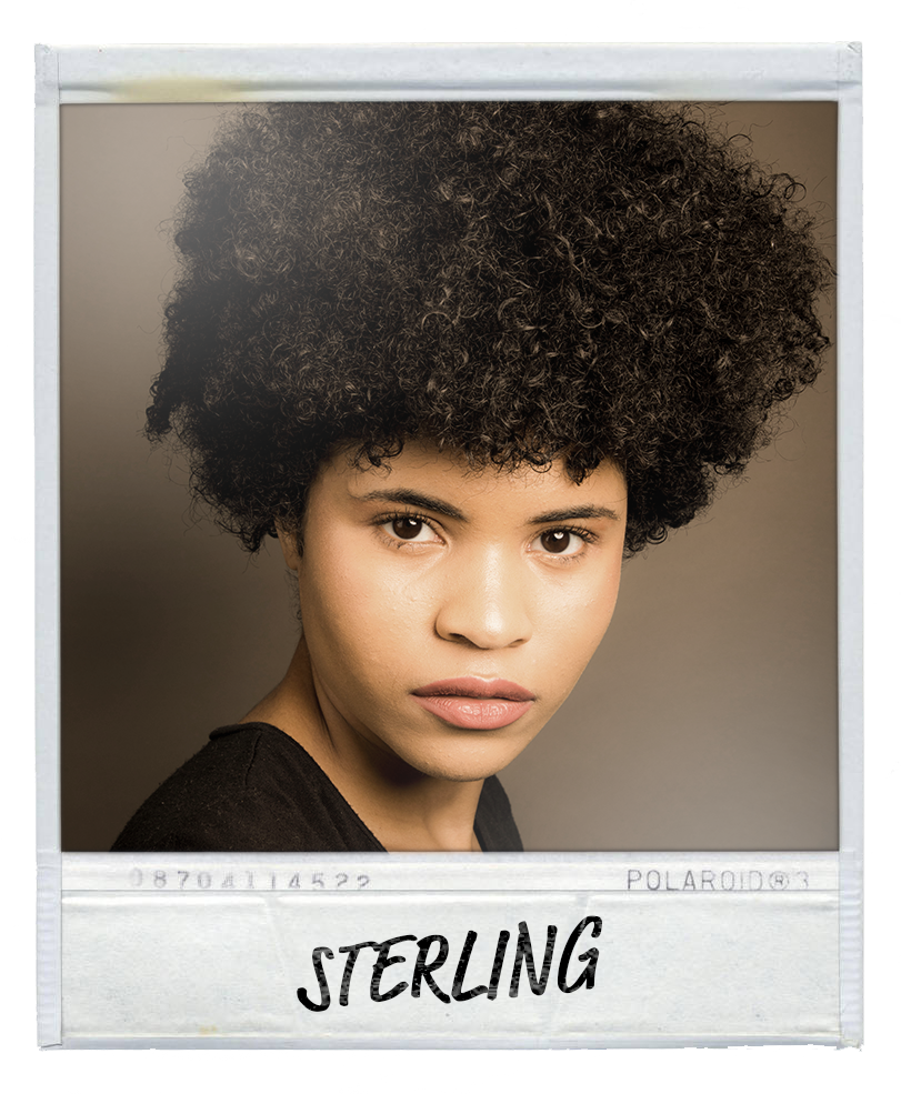 Sterling Polaroid.png