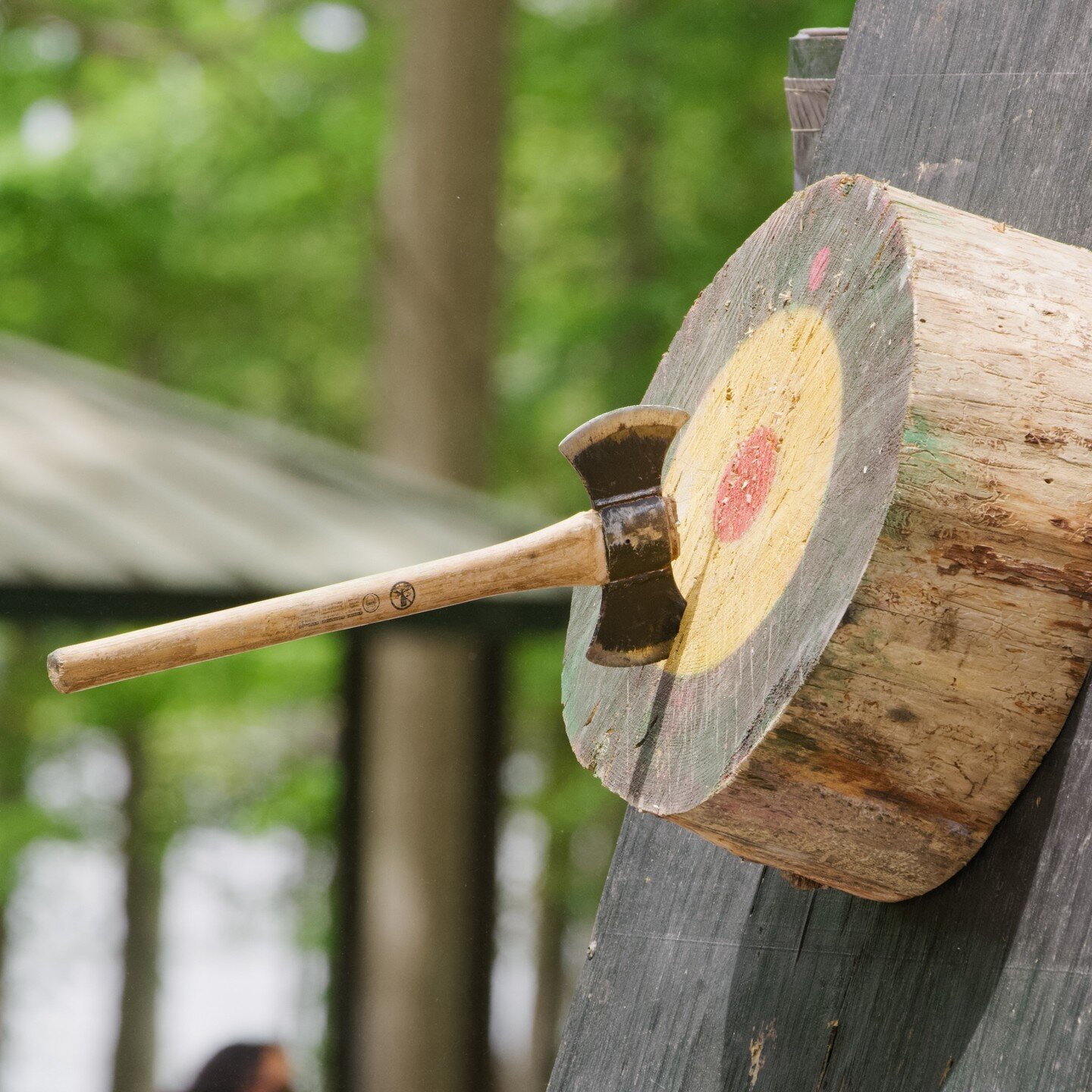 Ready for the greatest outdoor experience of 2024? Look no further than the Outdoor Enthusiast Event with Newport News Parks! 🌲🪓🛶

See more on our Events &amp; Festivals page - check the link in our bio!

 #LoveNN #VisitNewportNews #NewportNews #B