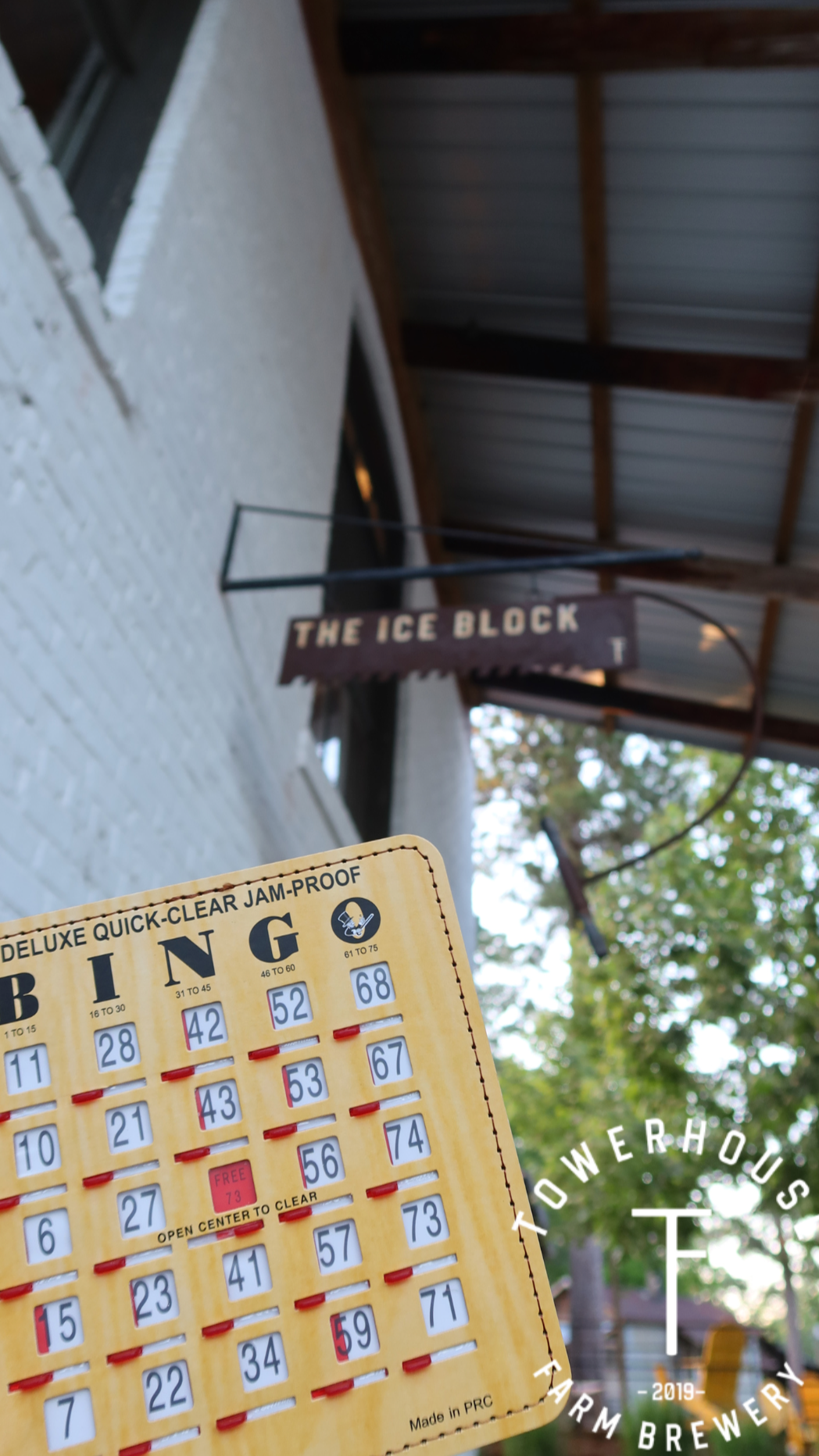BINGO NIGHT