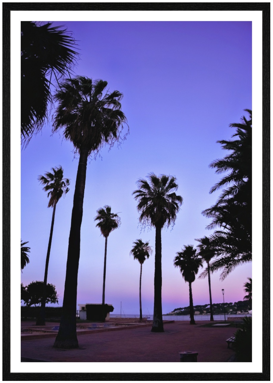 PURPLE PALMS, ANTIBES