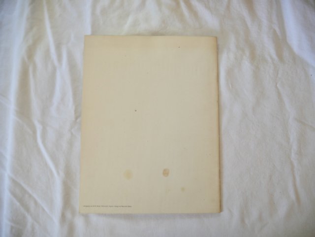 Mapplethorpe (Copy)