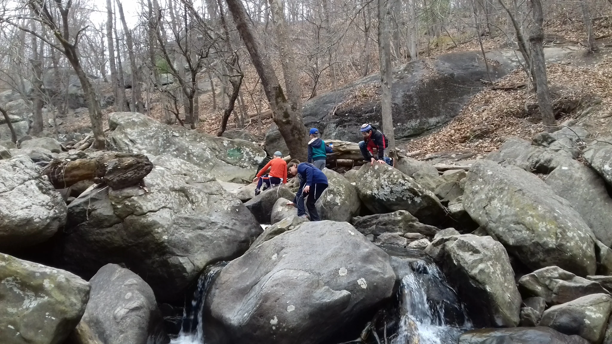 20170326_094340.jpg
