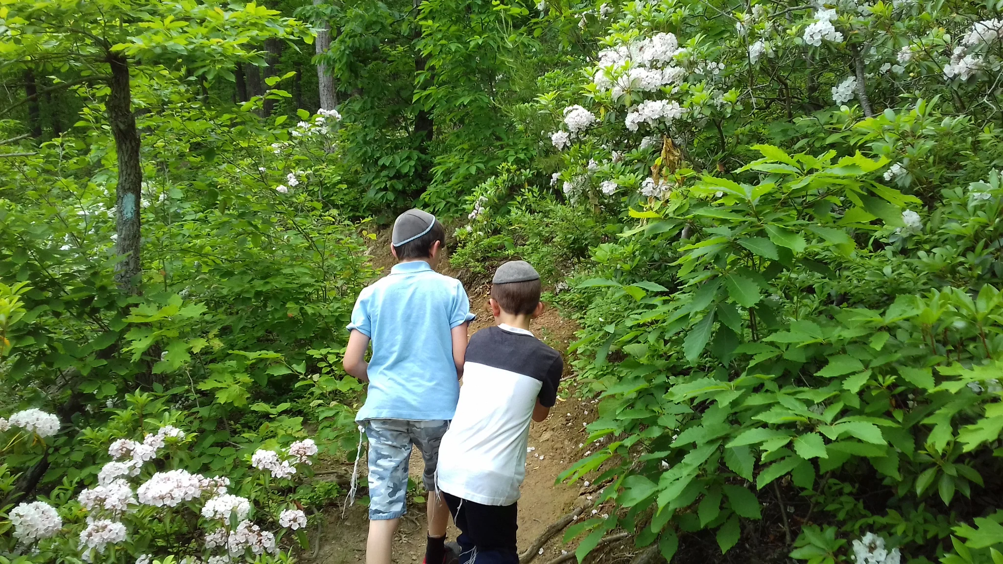 20170521_092811.jpg