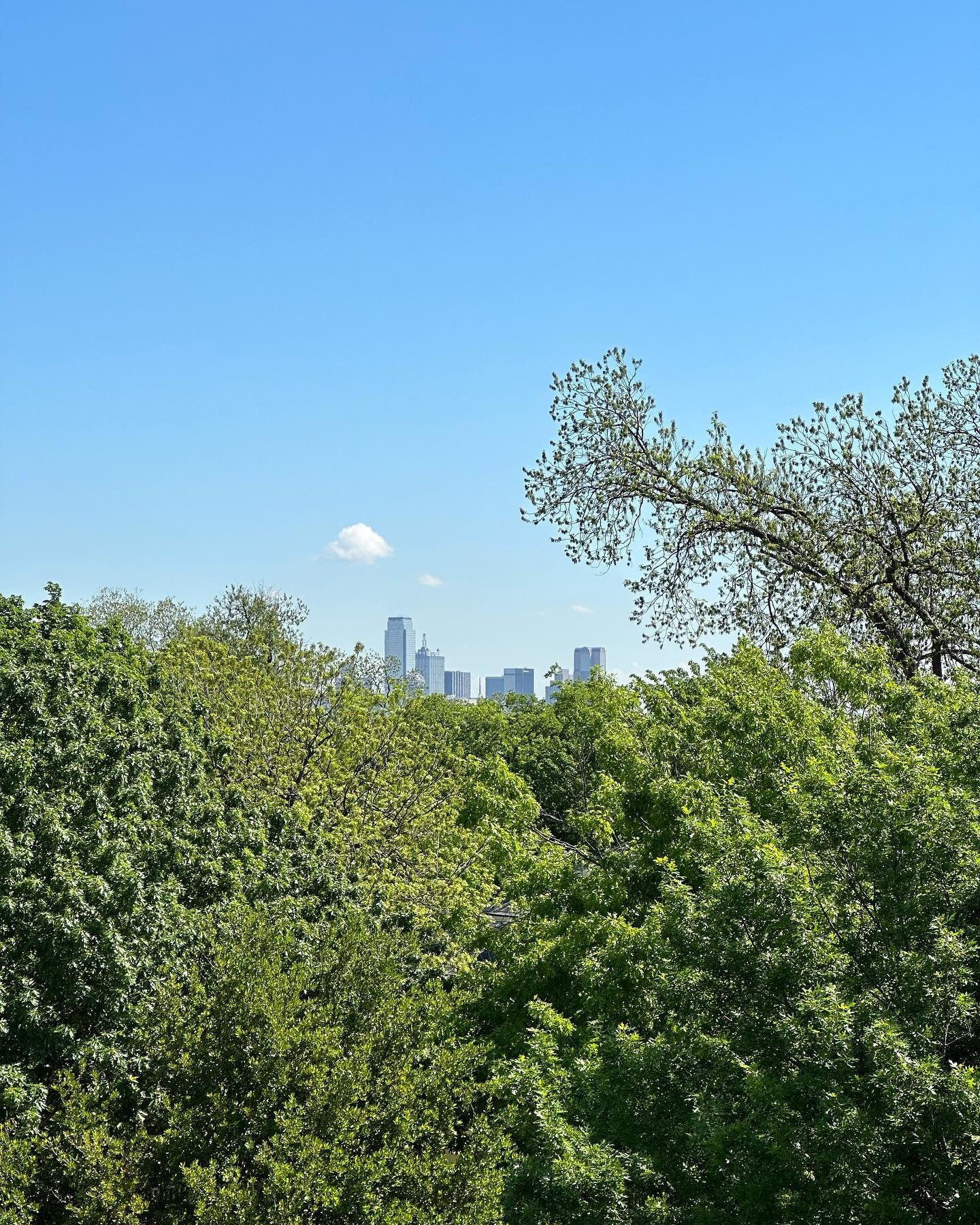 Rooftop skyline view with @emilyruthcannonrealtor