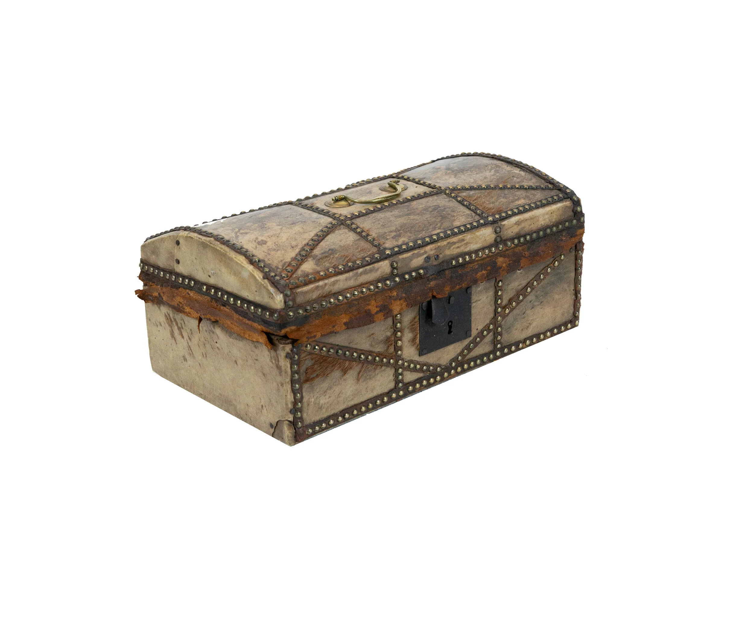 English Pony Skin Trunk