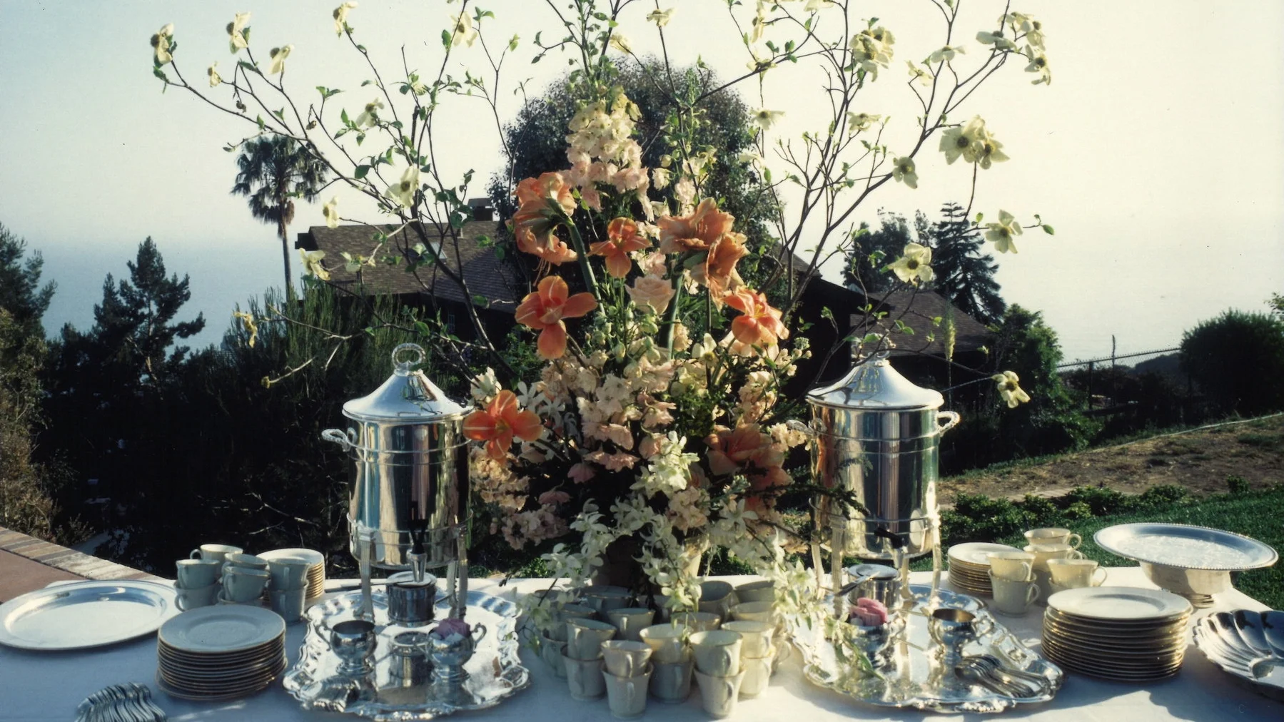 Weddings