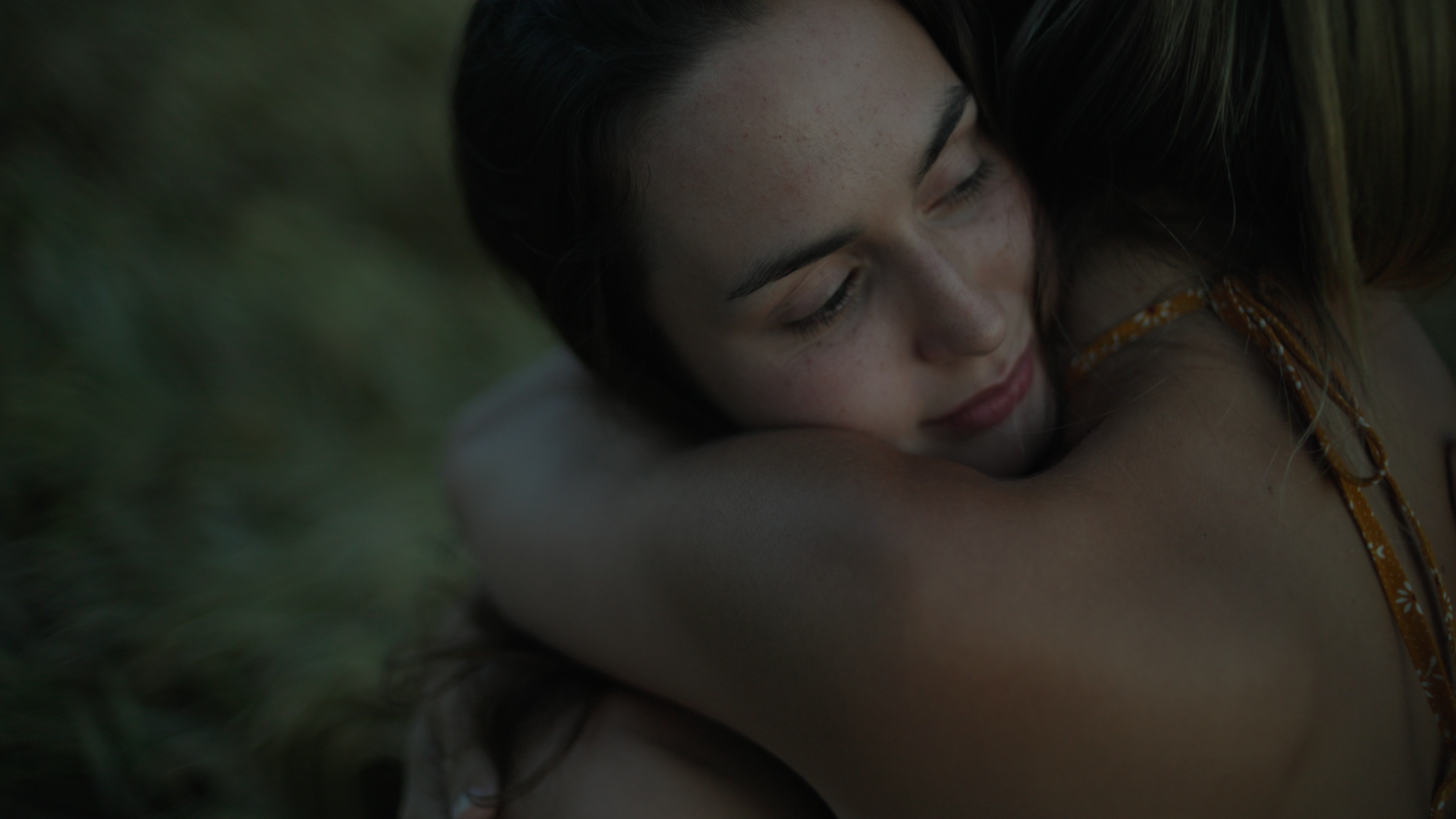 Arrozales y campo.00_00_38_20.Imagen fija001.png