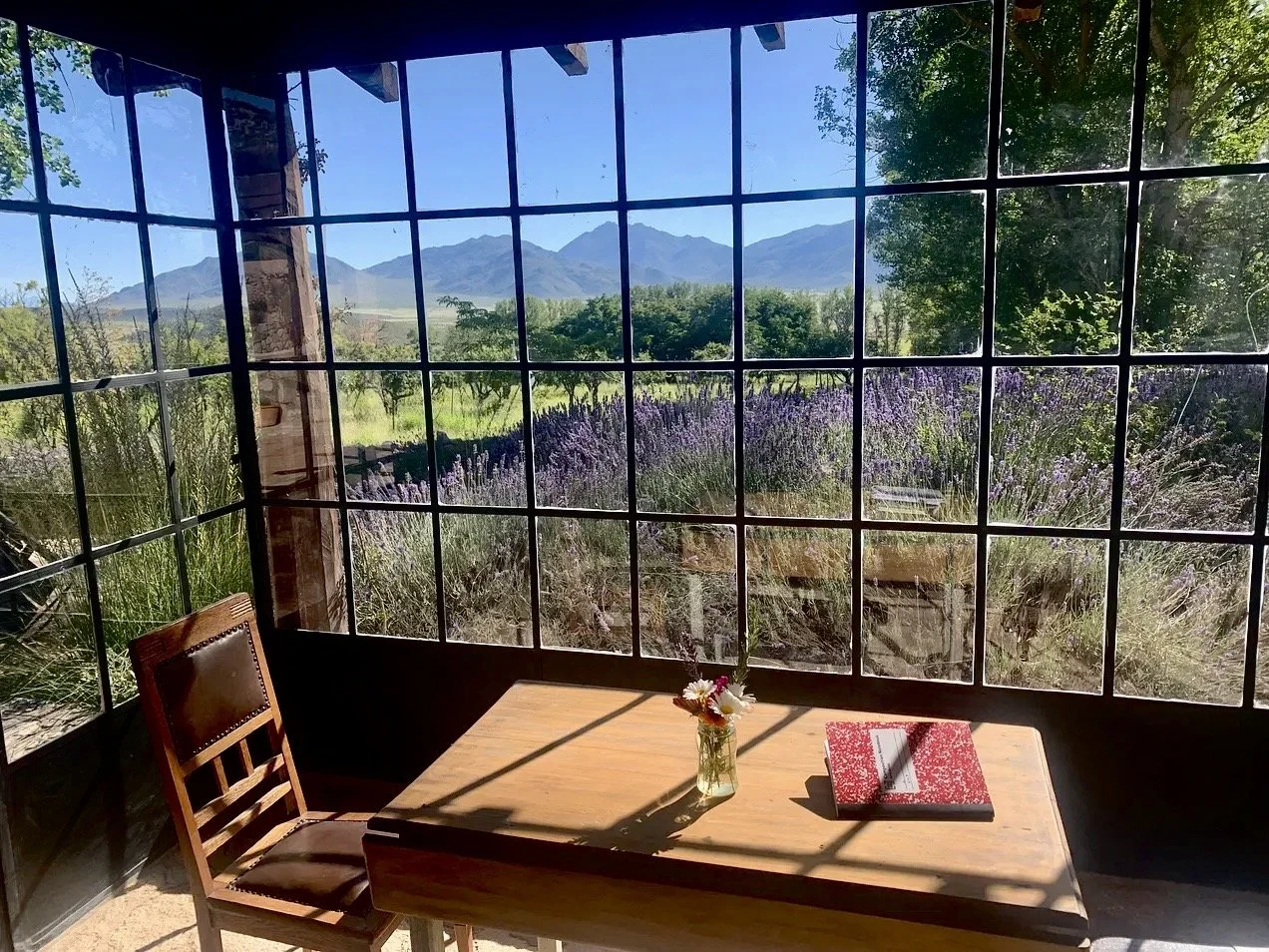 Follow my journey on Substack!