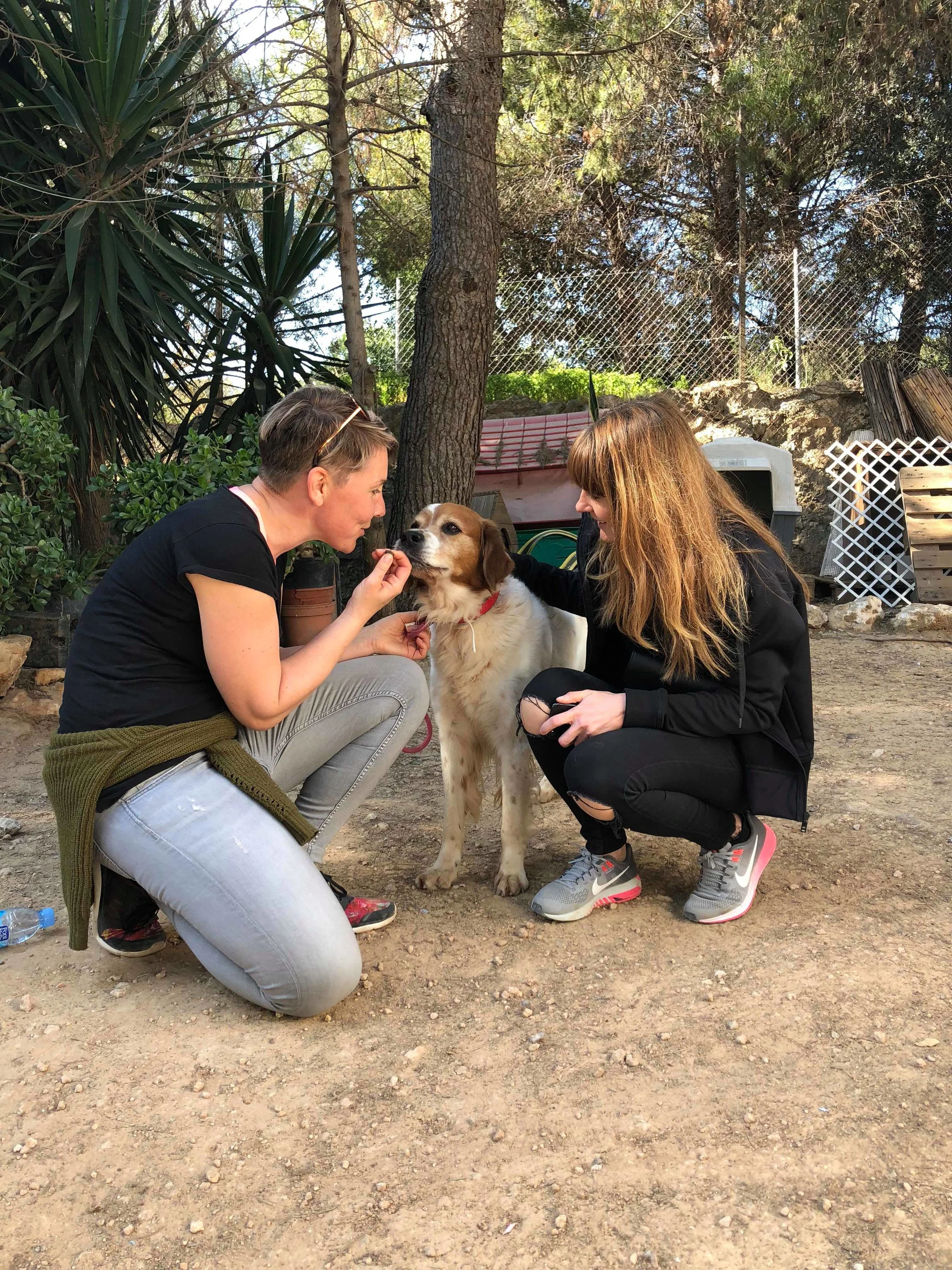 Shelter Visit 2/3/2019